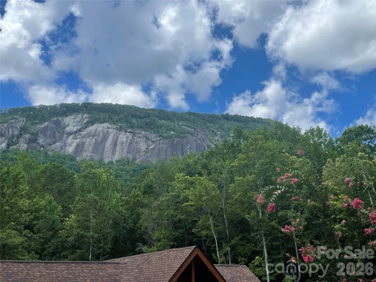 282 QUAIL RIDGE RD, LAKE LURE, NC 28746 - Image af7cb0e46d2d58adf01cf89b177a8d84/3563083214