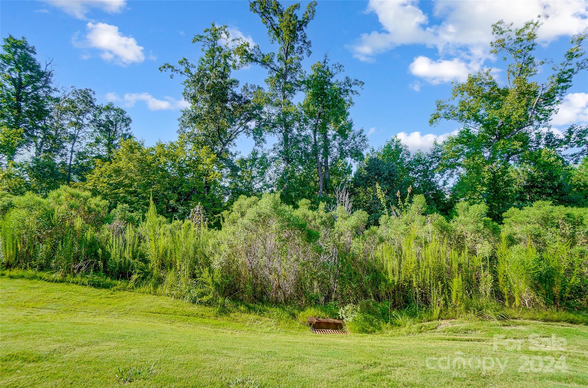 Cameron Creek - Residential