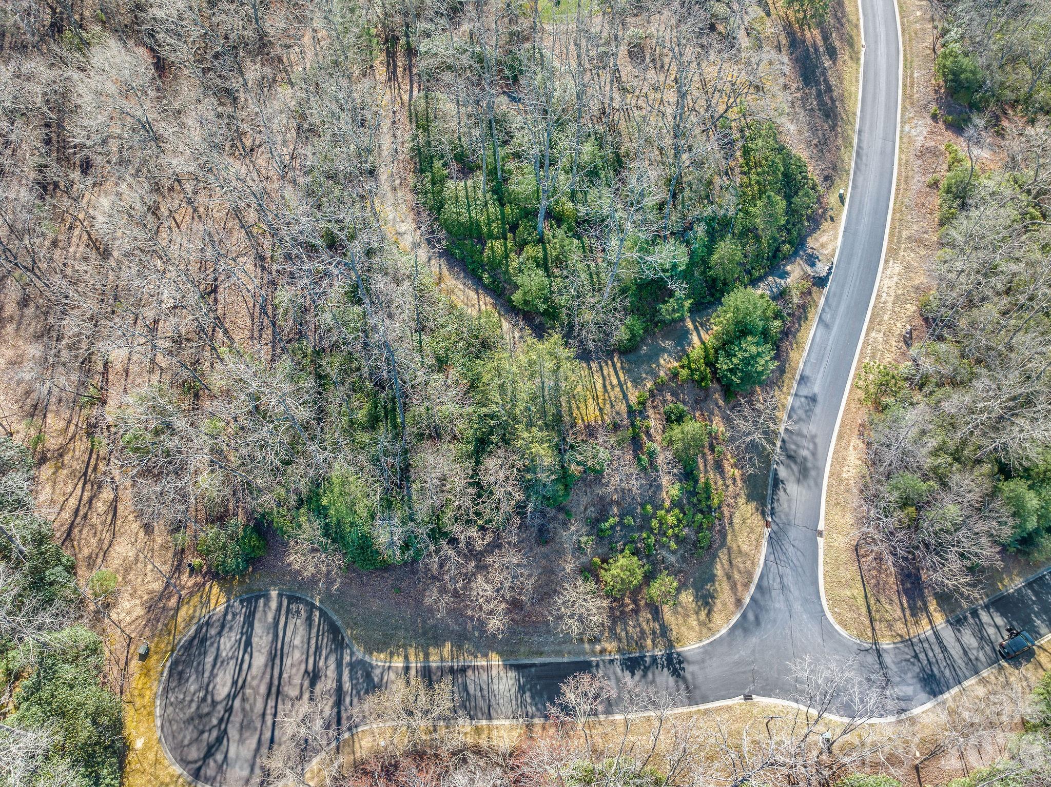 The Homestead At Mills River - Land