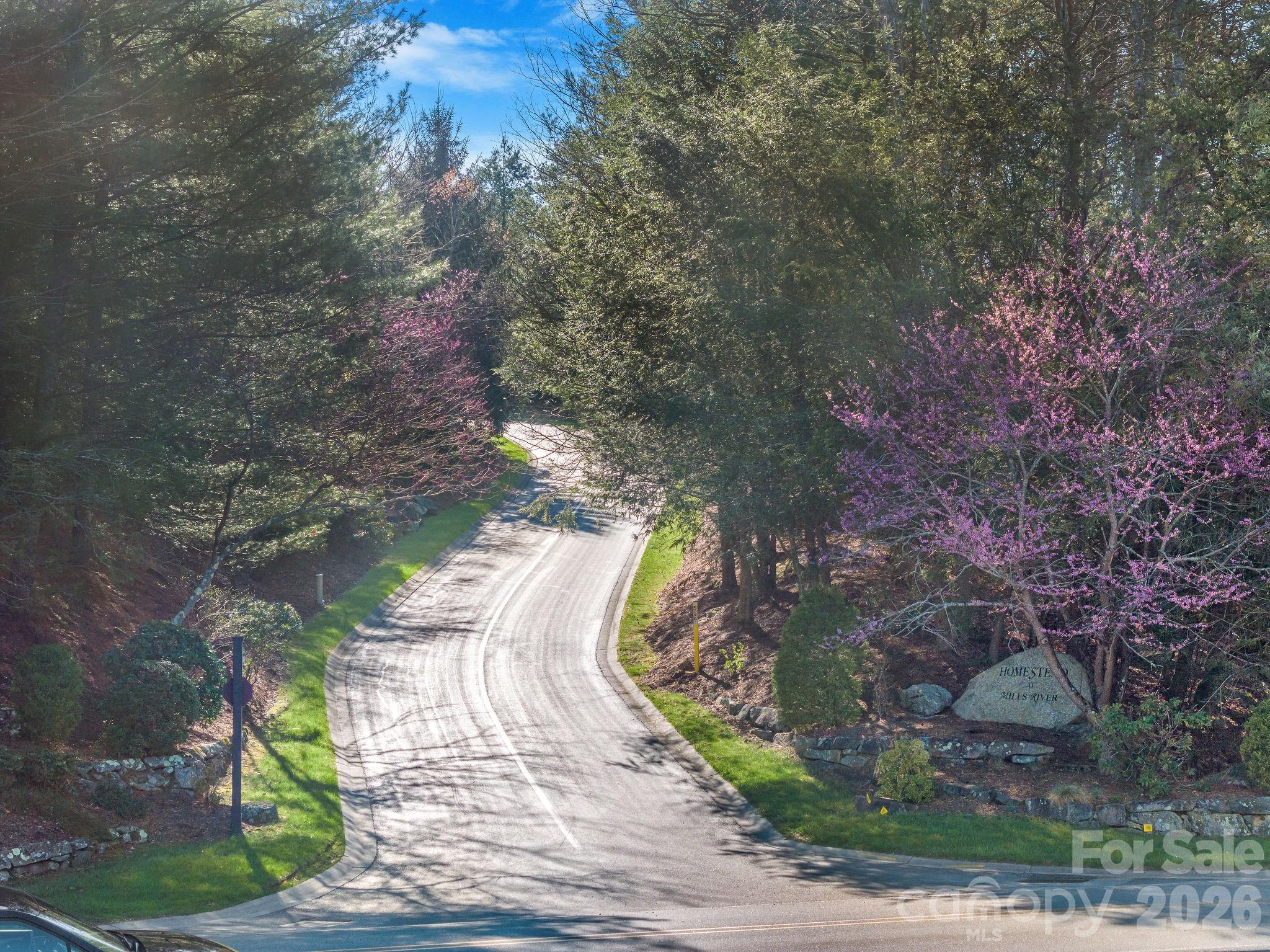 The Homestead At Mills River - Land