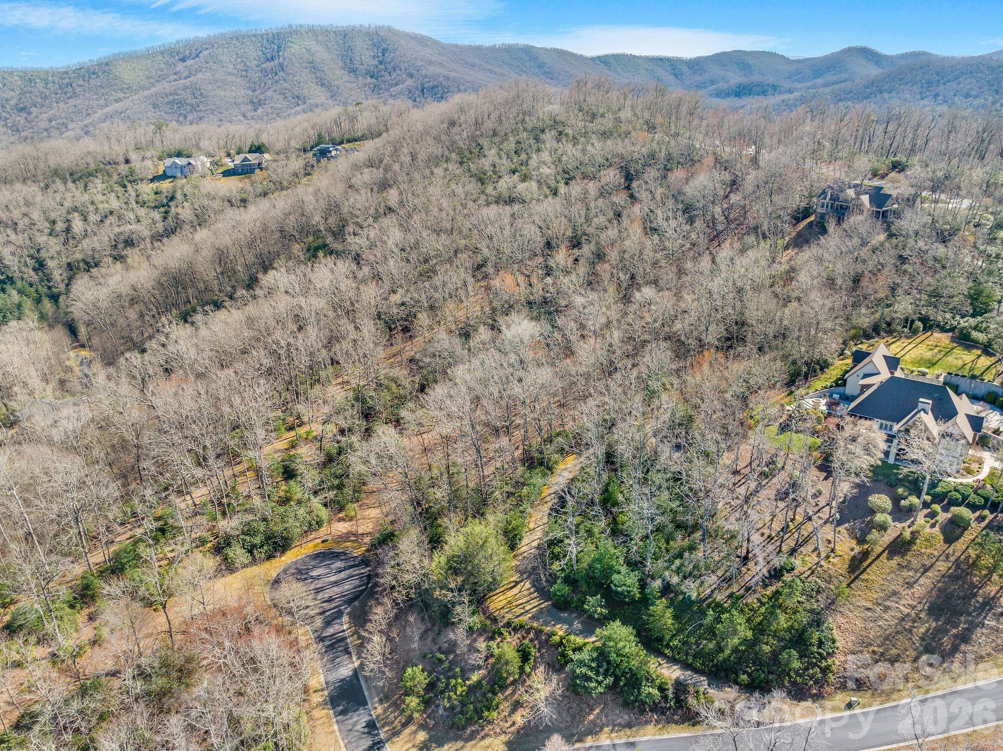 The Homestead At Mills River - Land