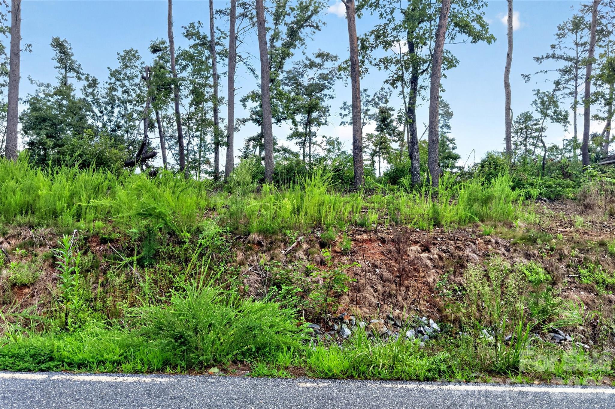 TBD Antioch Road