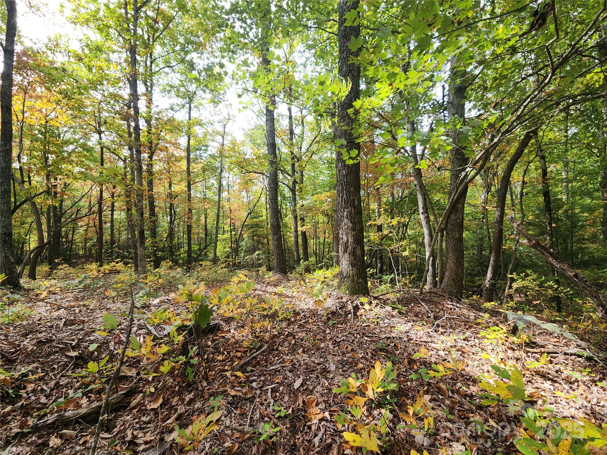 99999 N Pointe Drive 2