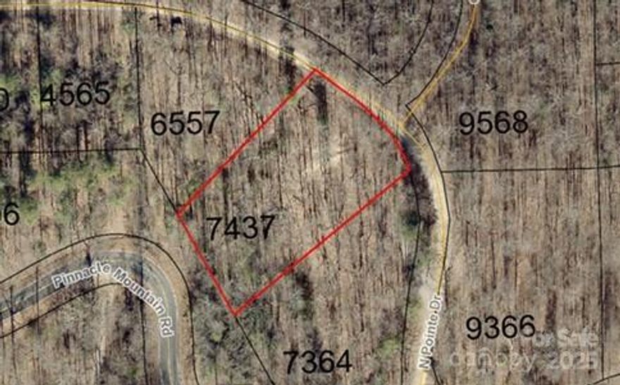Level to a gently rolling lot with easy access onto Pinnacle Mountain road and at the entrance of Ann Mountain Estates entrance. 1,500 square foot minimum build size. No manufactured or modular homes are allowed. Property is also listed together with lots 1, 3, 5, and 30 MLS 4292537. Co-list agent has ownership interest in the property.