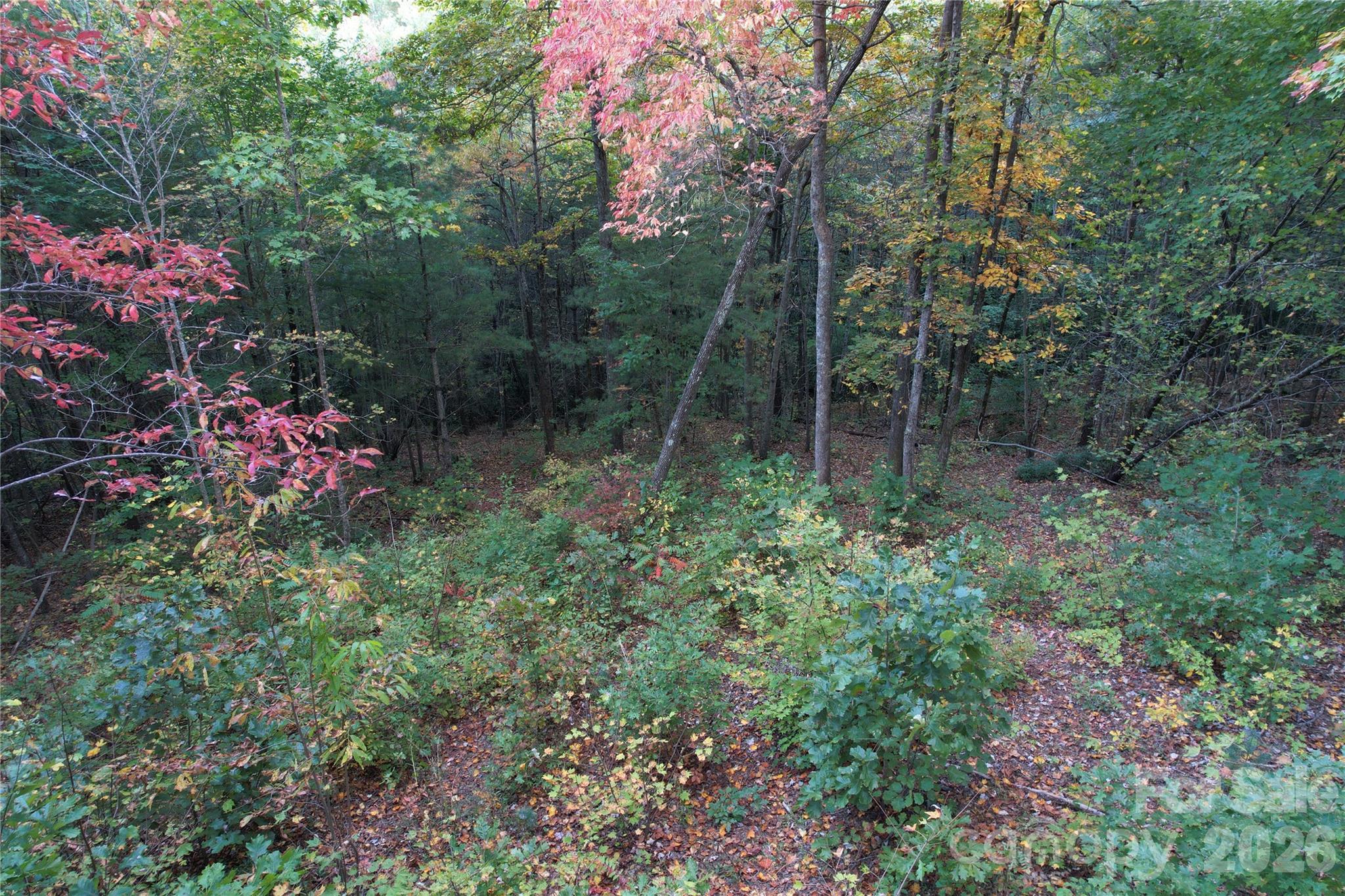 315 Silverglen Way 42, 40, 36