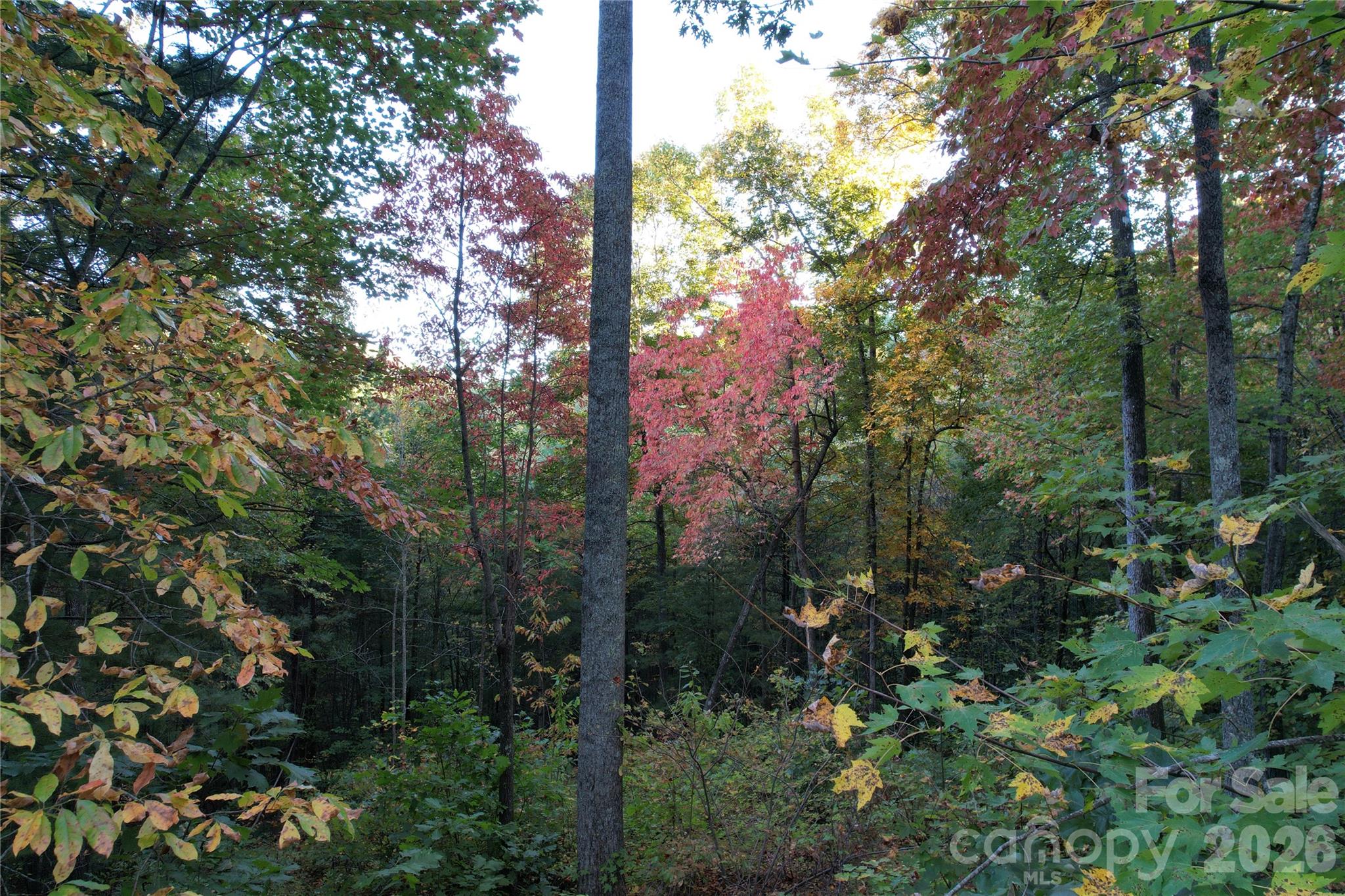 315 Silverglen Way 42, 40, 36