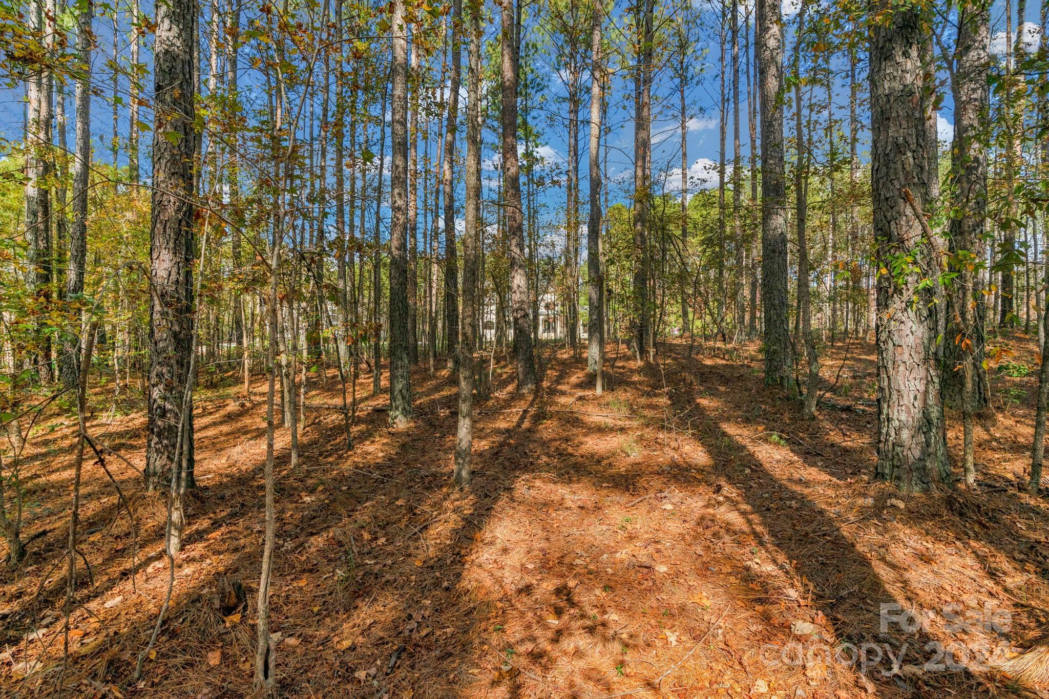 Riverchase Estates - Land