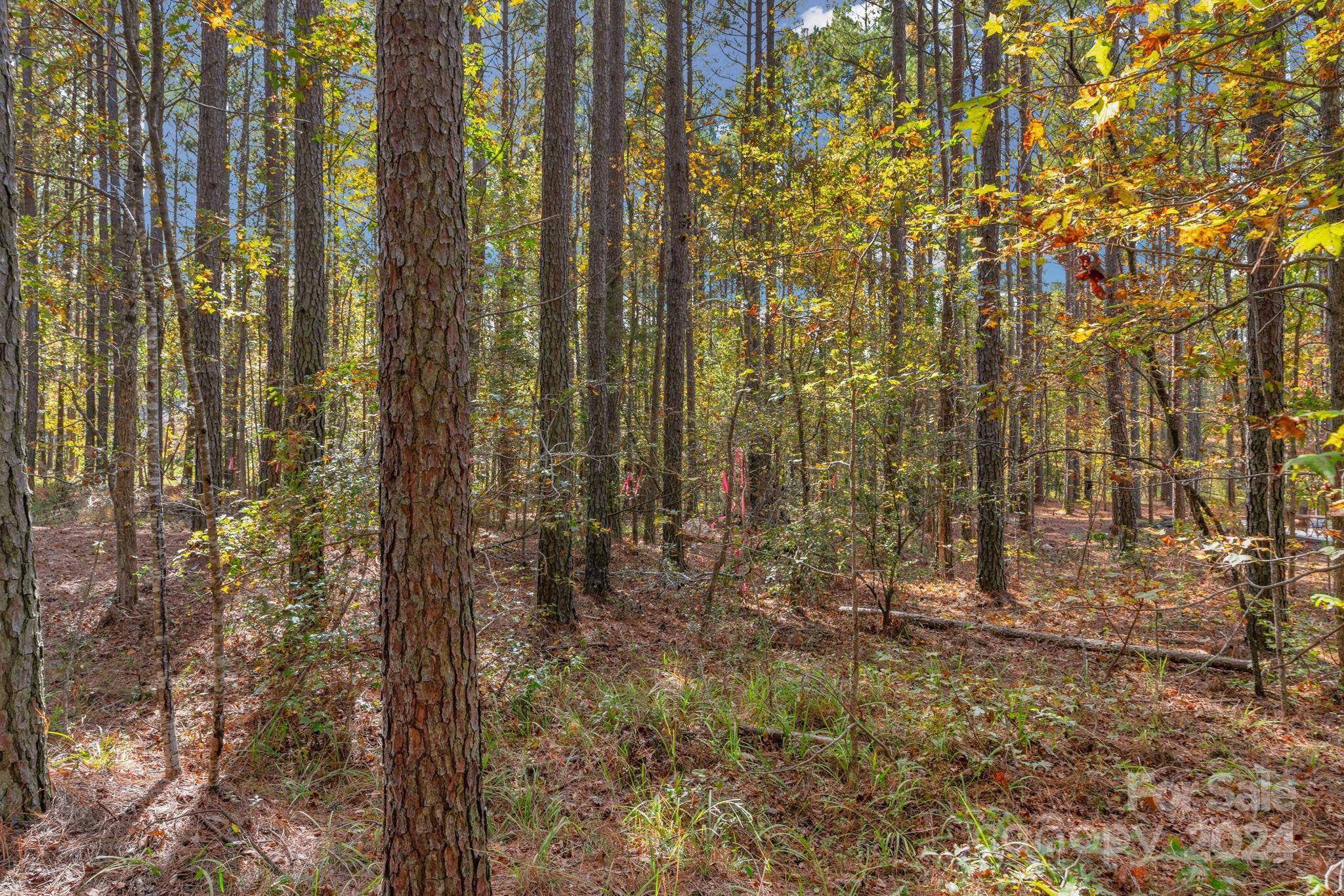 Riverchase Estates - Land