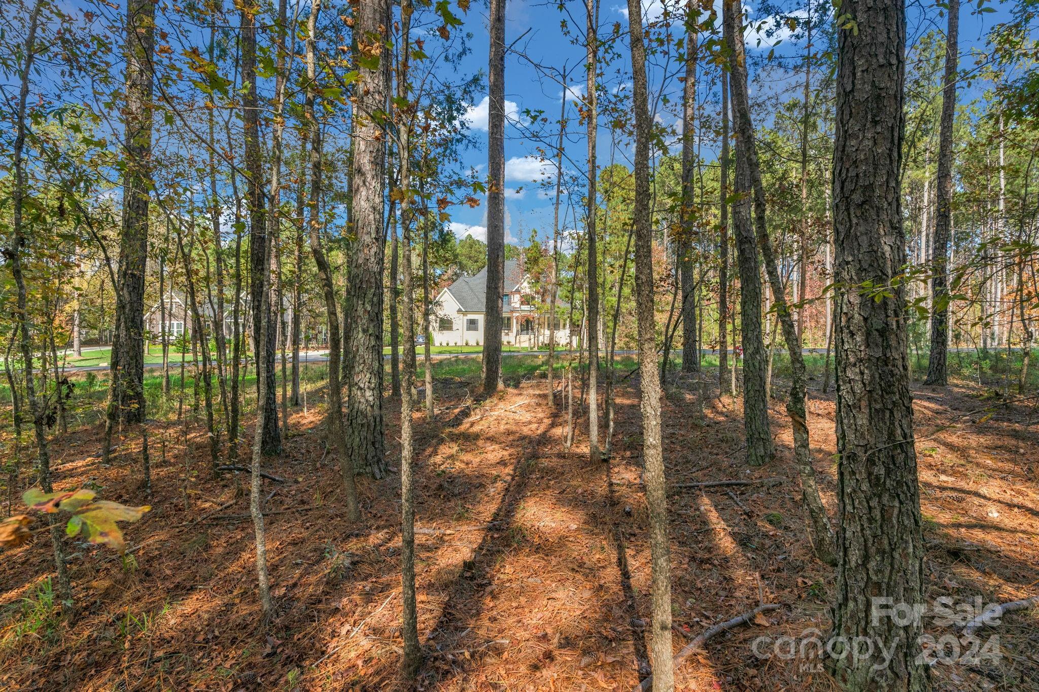 Riverchase Estates - Land