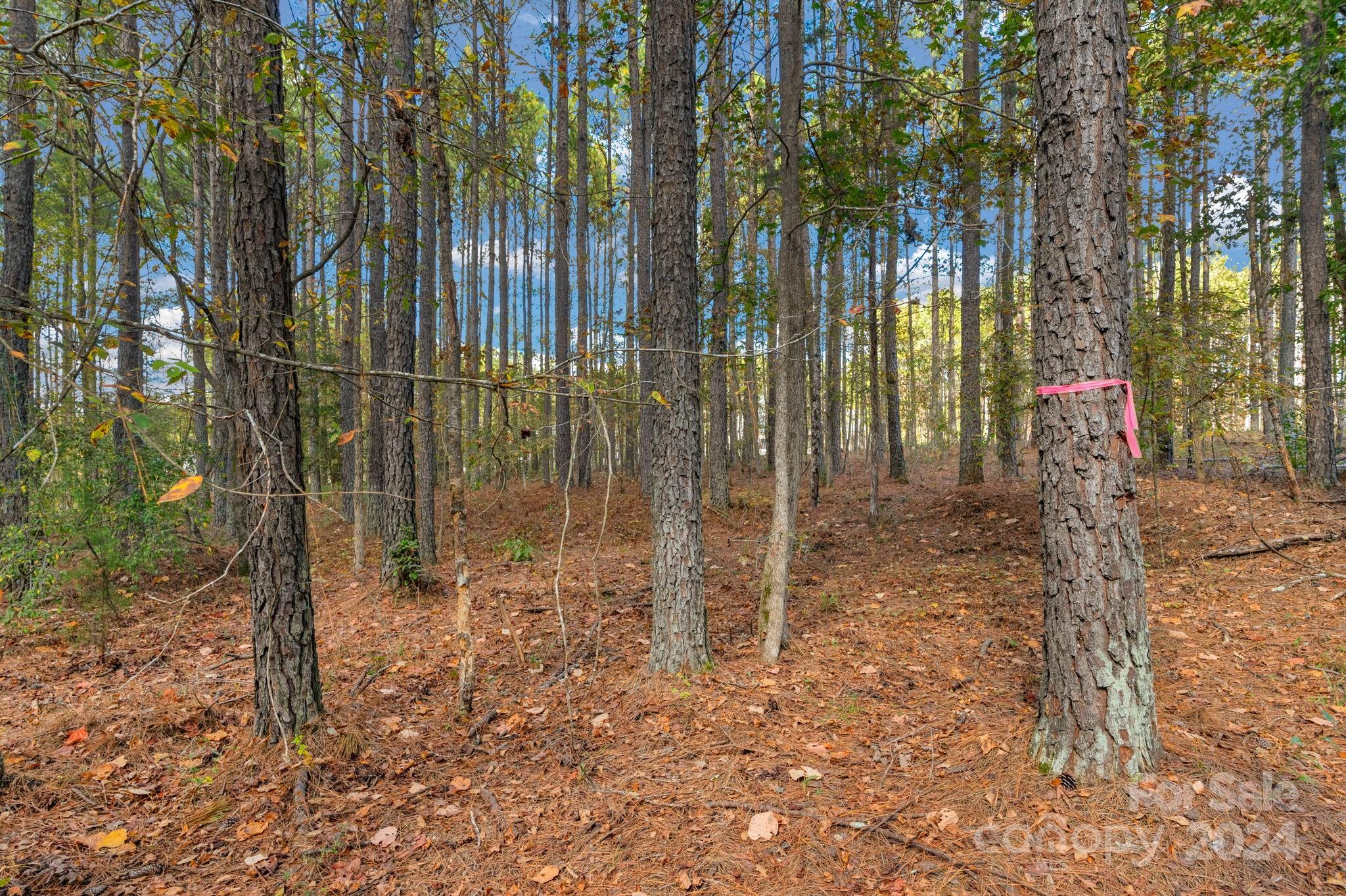 Riverchase Estates - Land