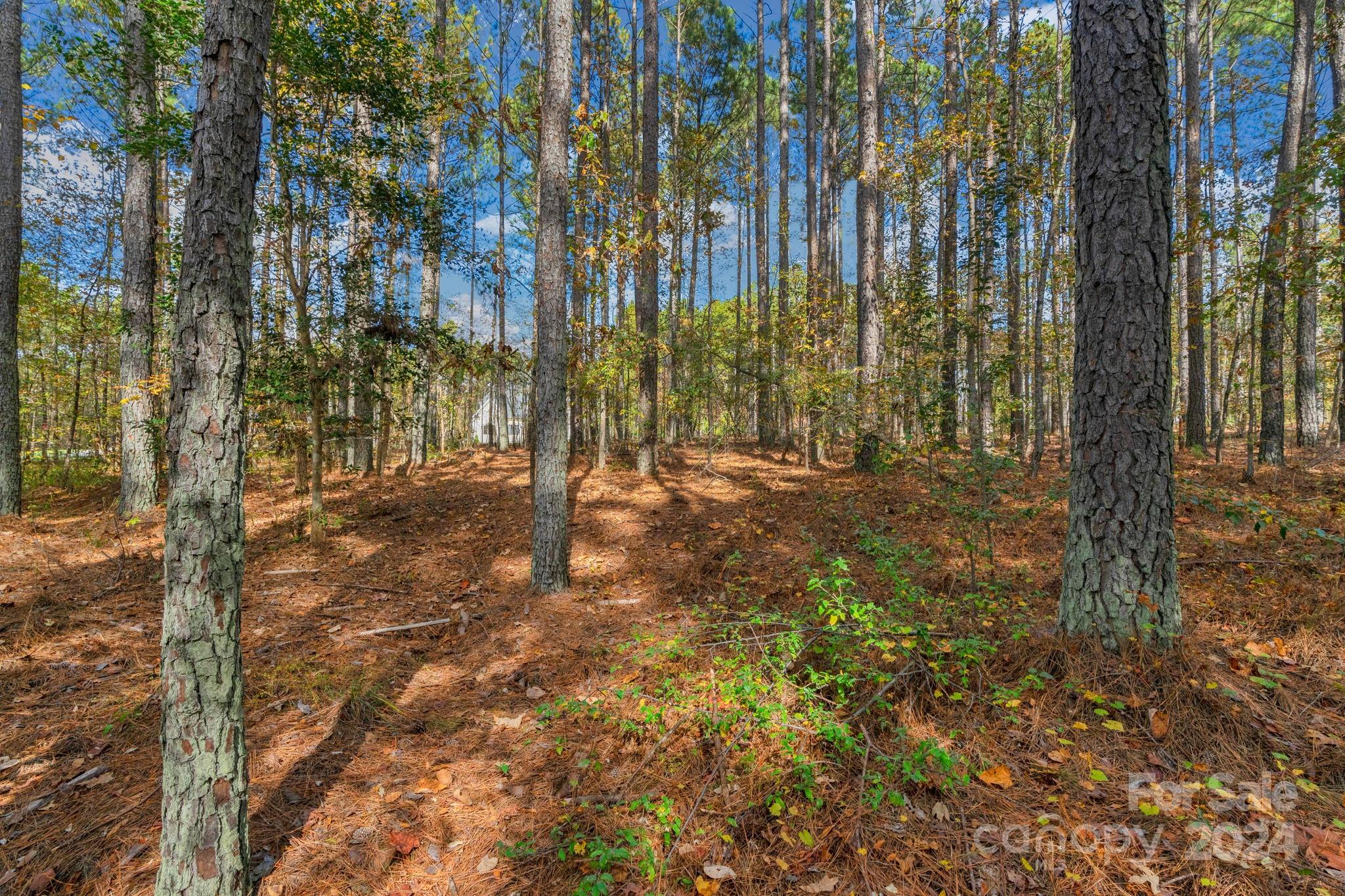 Riverchase Estates - Land