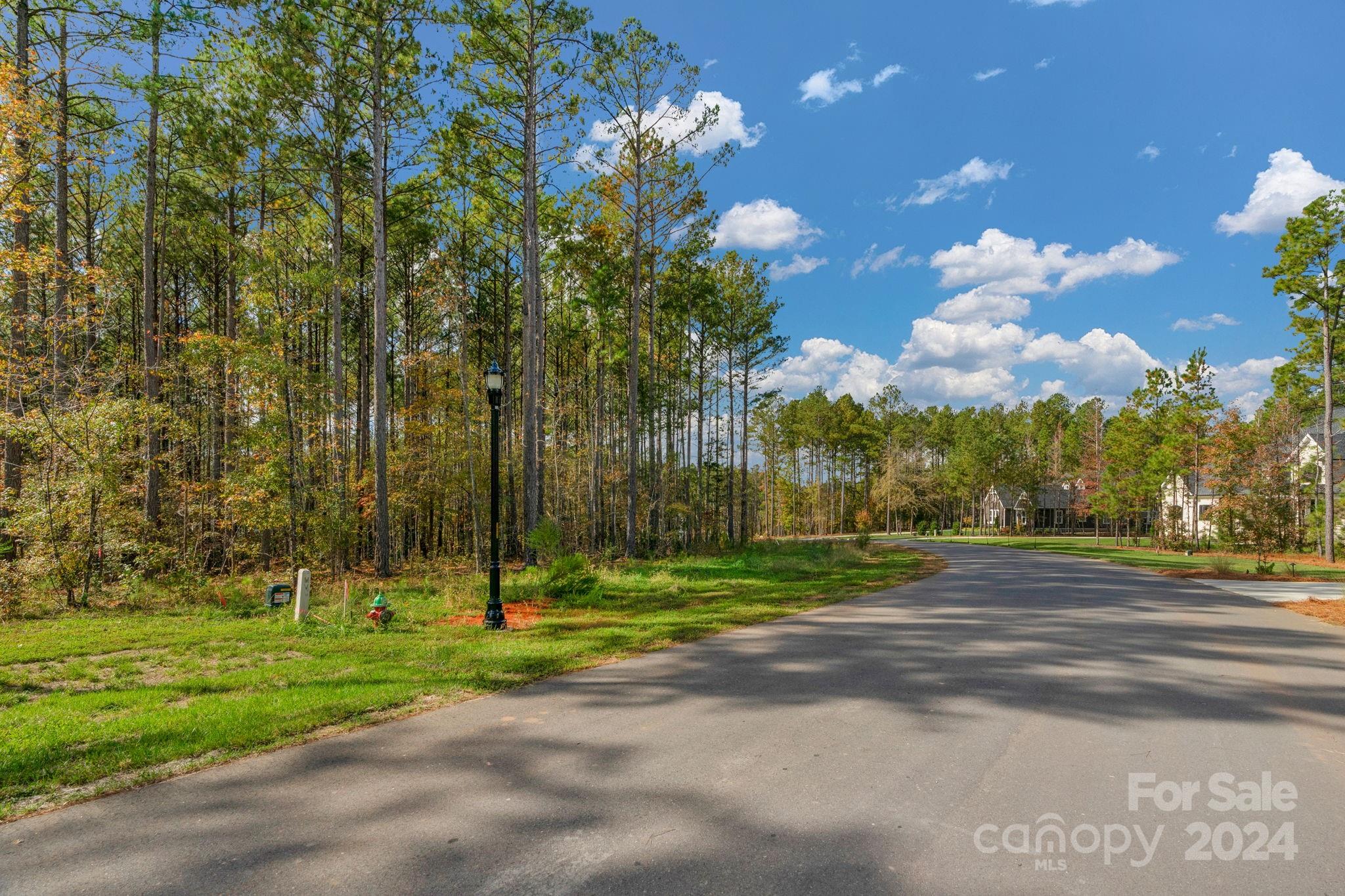 Riverchase Estates - Land