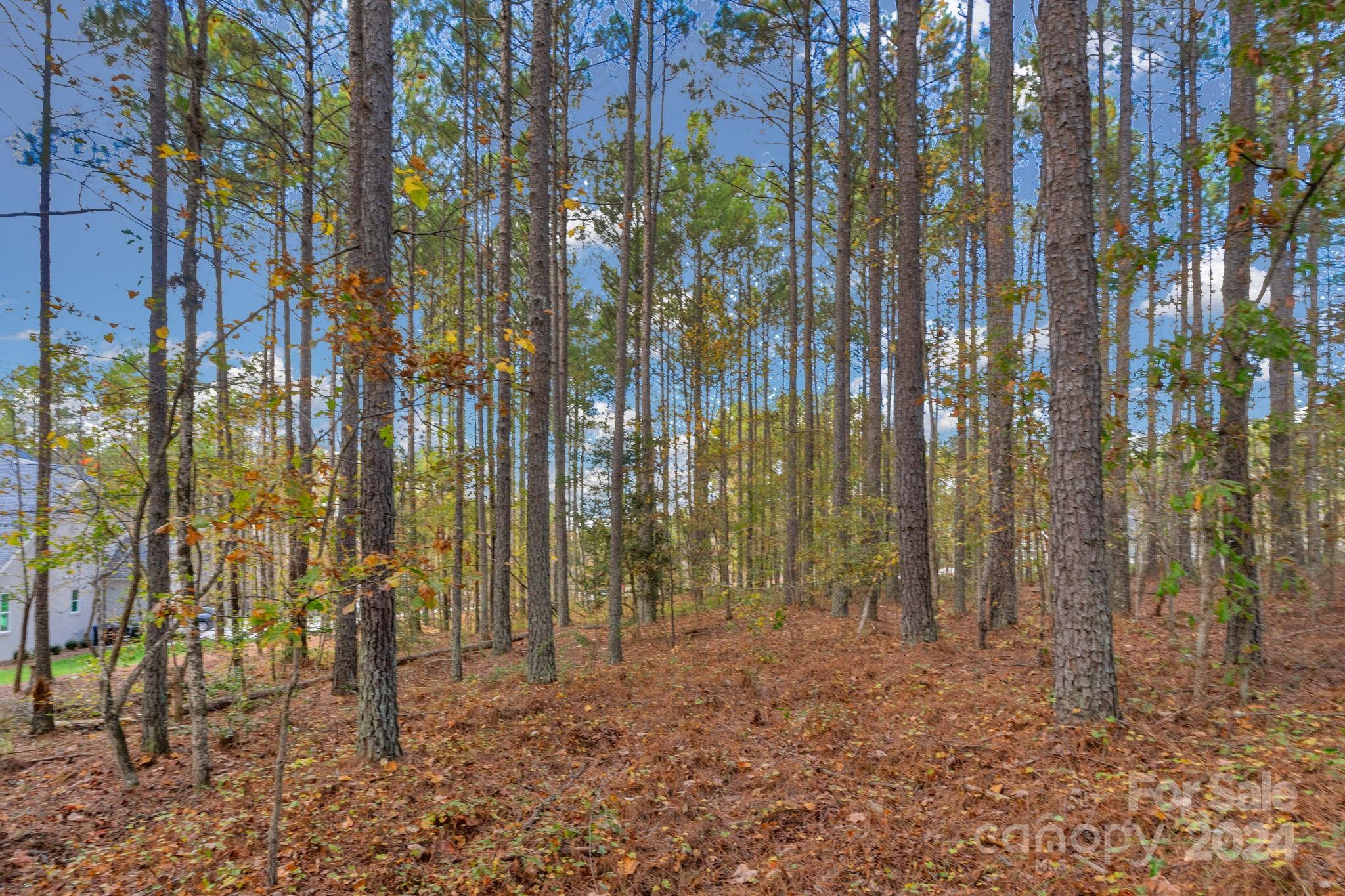 Riverchase Estates - Land