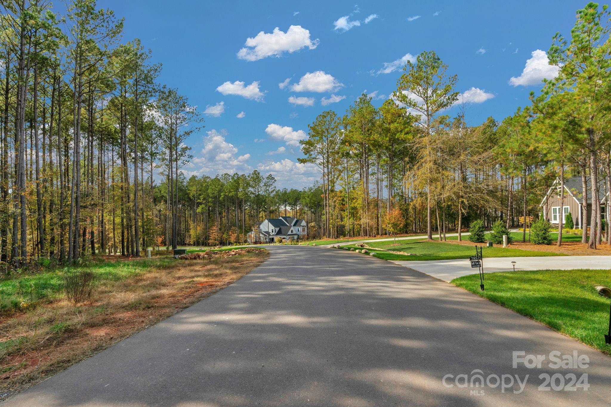 Riverchase Estates - Land