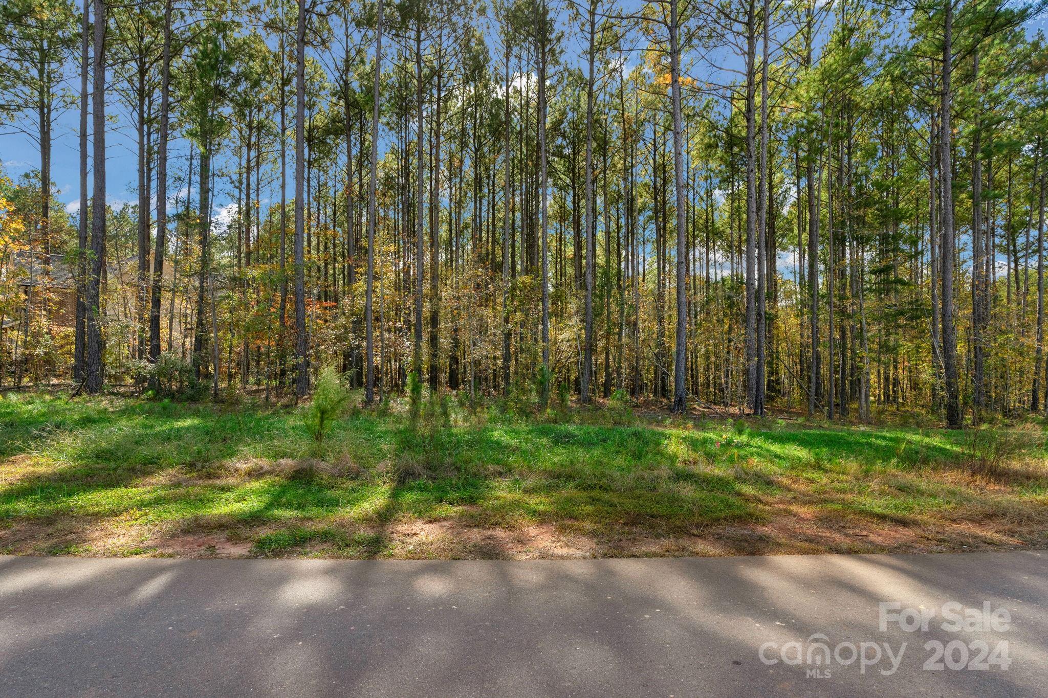 Riverchase Estates - Land