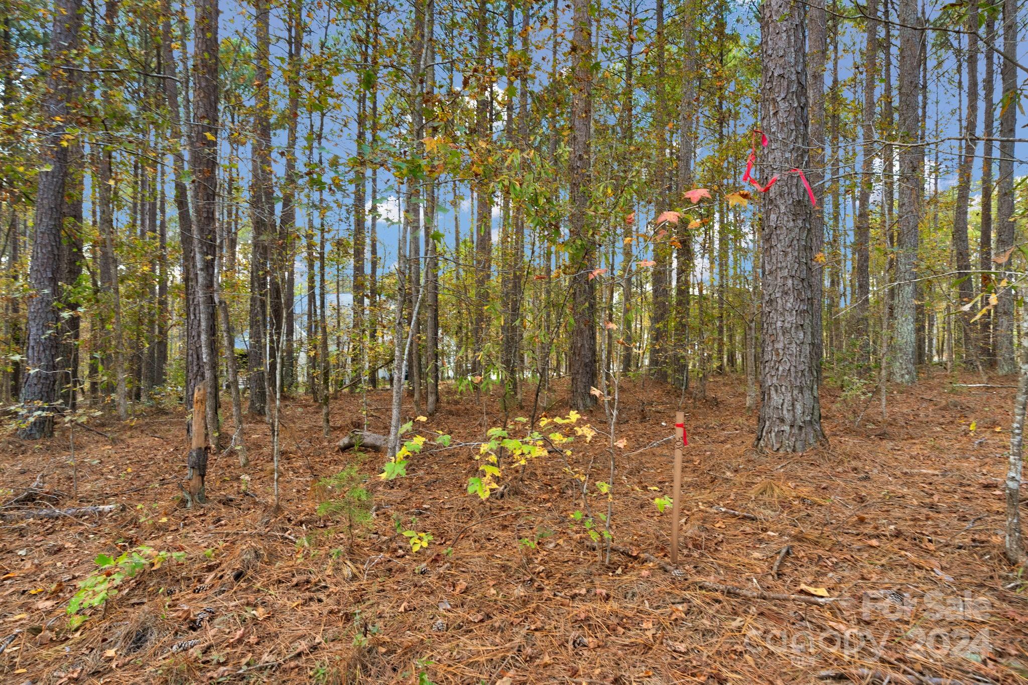 Riverchase Estates - Land