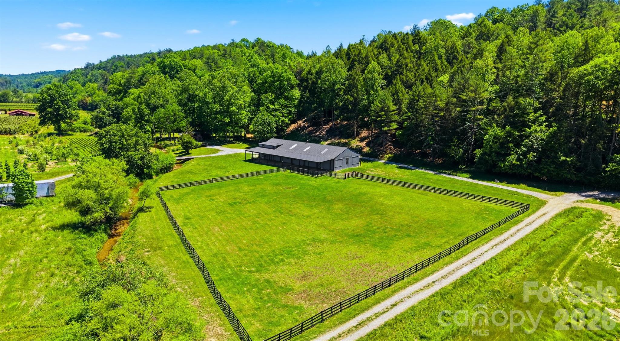 81 +/- Acres 2967 Roby Martin Road