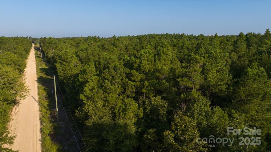 Ideal lot for a starter home or manufactured home. Sandy soils which are excellent for drainage and perking for septic systems. Young trees should make clearing easy and provide great privacy. Centrally located between Charlotte, NC and Columbia, SC in the growing town of Kershaw. Come experience county living at it's finest. Additional lots available. See plat for Lots 7-11