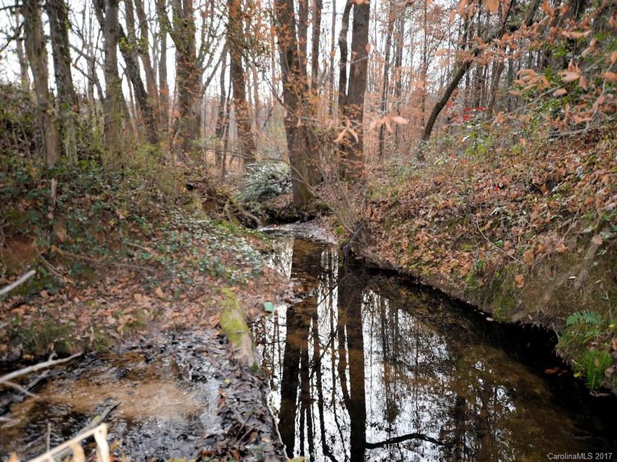 This 9.6 acre wooded parcel has a gently rolling terrain that gets steeper as you near the bold stream that runs the whole length of the properties left side. The trees consist mostly of pines except for a belt of hardwoods running along the creek. Would make a great farm, private estate or small subdivision as there may be access to public water and sewer. 495+ feet of road frontage.