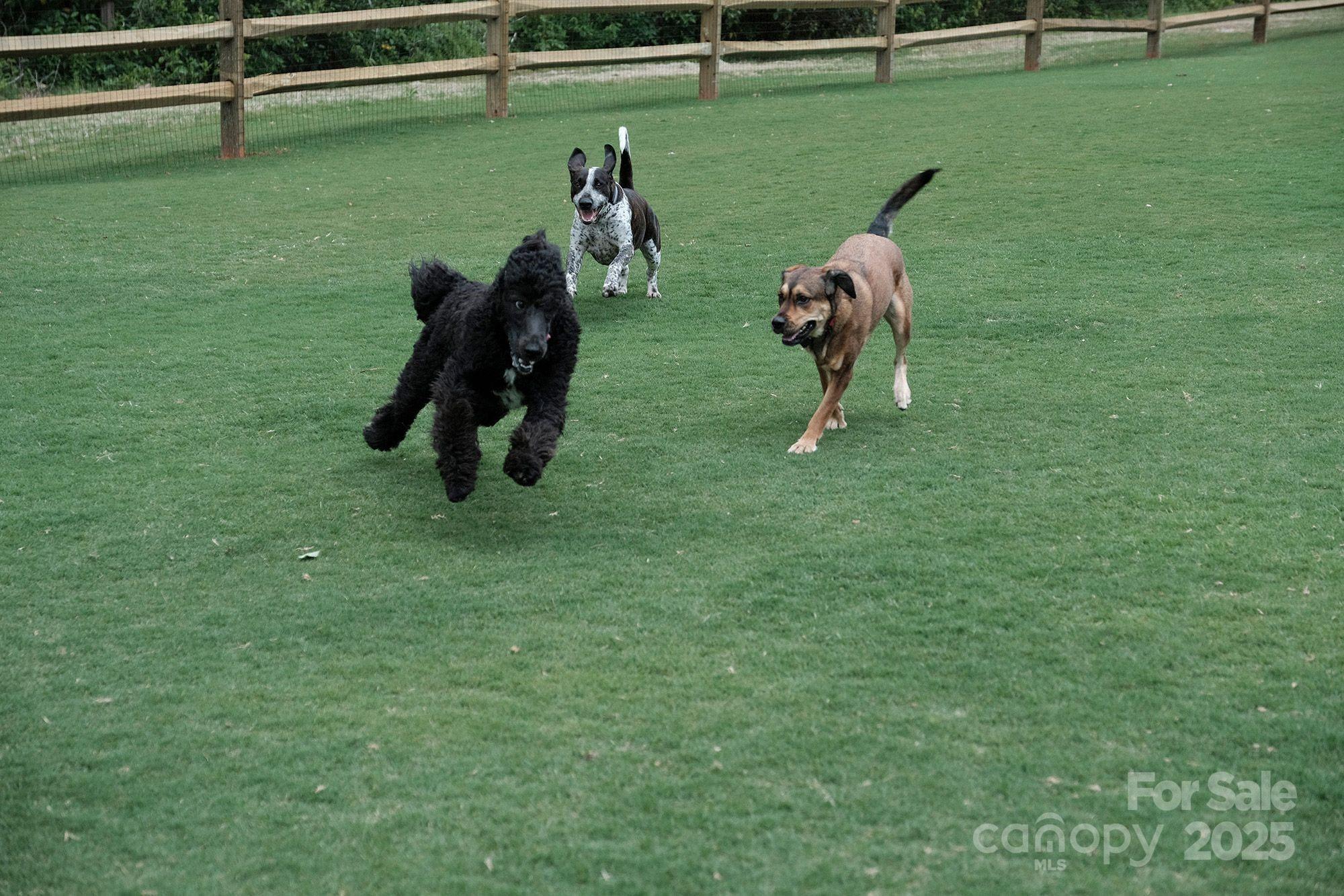 River Hills - Residential