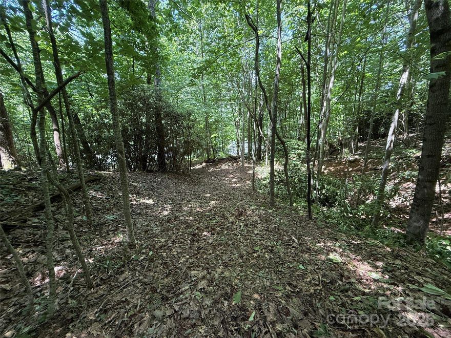 Discover the perfect canvas for your mountain retreat on this private 1.17-acre wooded lot in the desirable Fairview Pointe subdivision. Tucked away just off Garren Creek Road, this homesite offers both tranquility and convenience—with easy access to Fairview and Asheville amenities. The driveway and building site have already been cleared, making it ready for your dream home to take shape. Enjoy peaceful winter views from the homesite, with the potential to open up for year-round mountain vistas. Surrounded by mature trees and plenty of shade, this lot provides a serene natural setting ideal for full-time living or a quiet getaway. Don’t miss your chance to build in this beautiful, growing community!