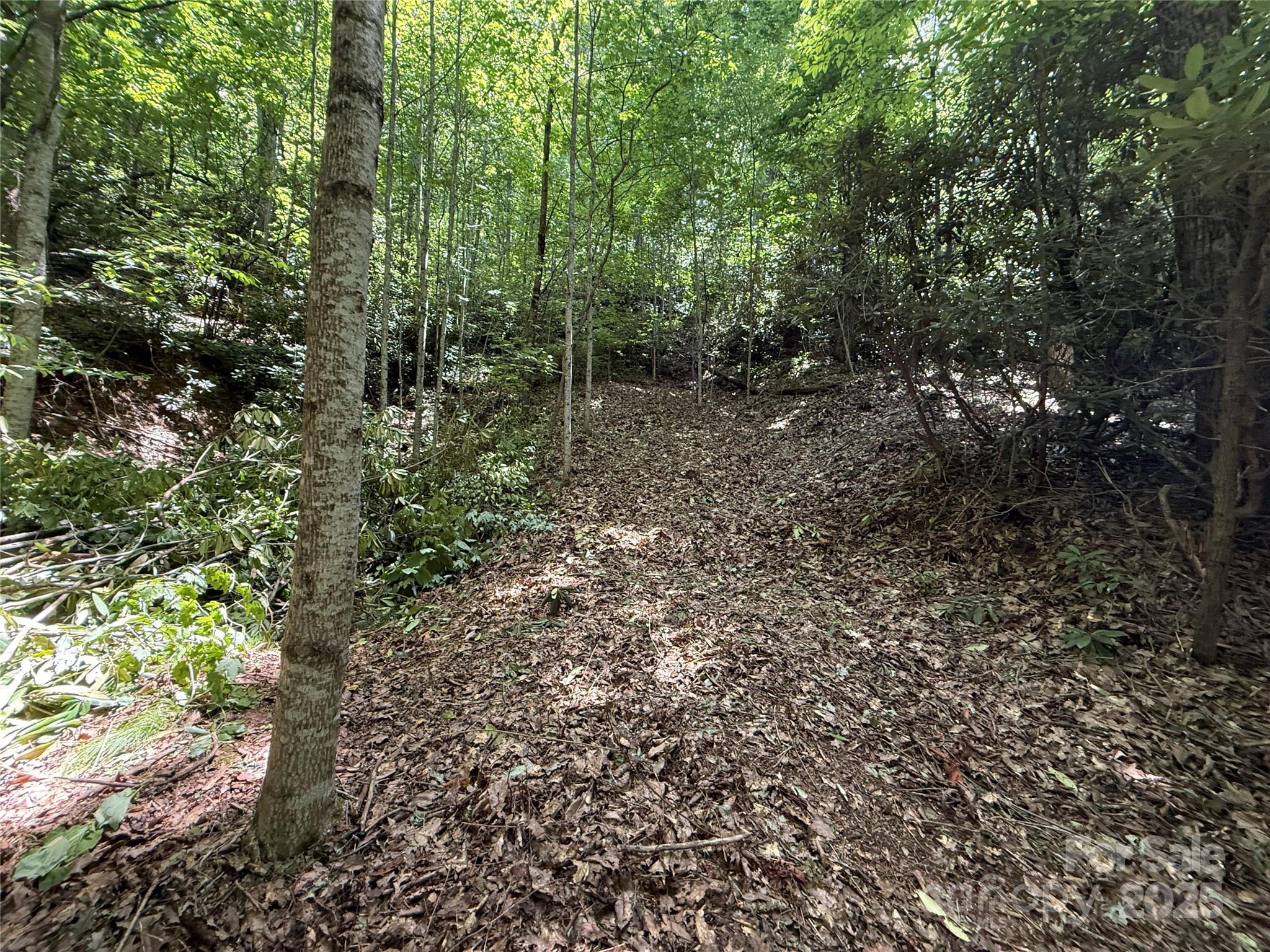 25 Fairview Pointe Drive