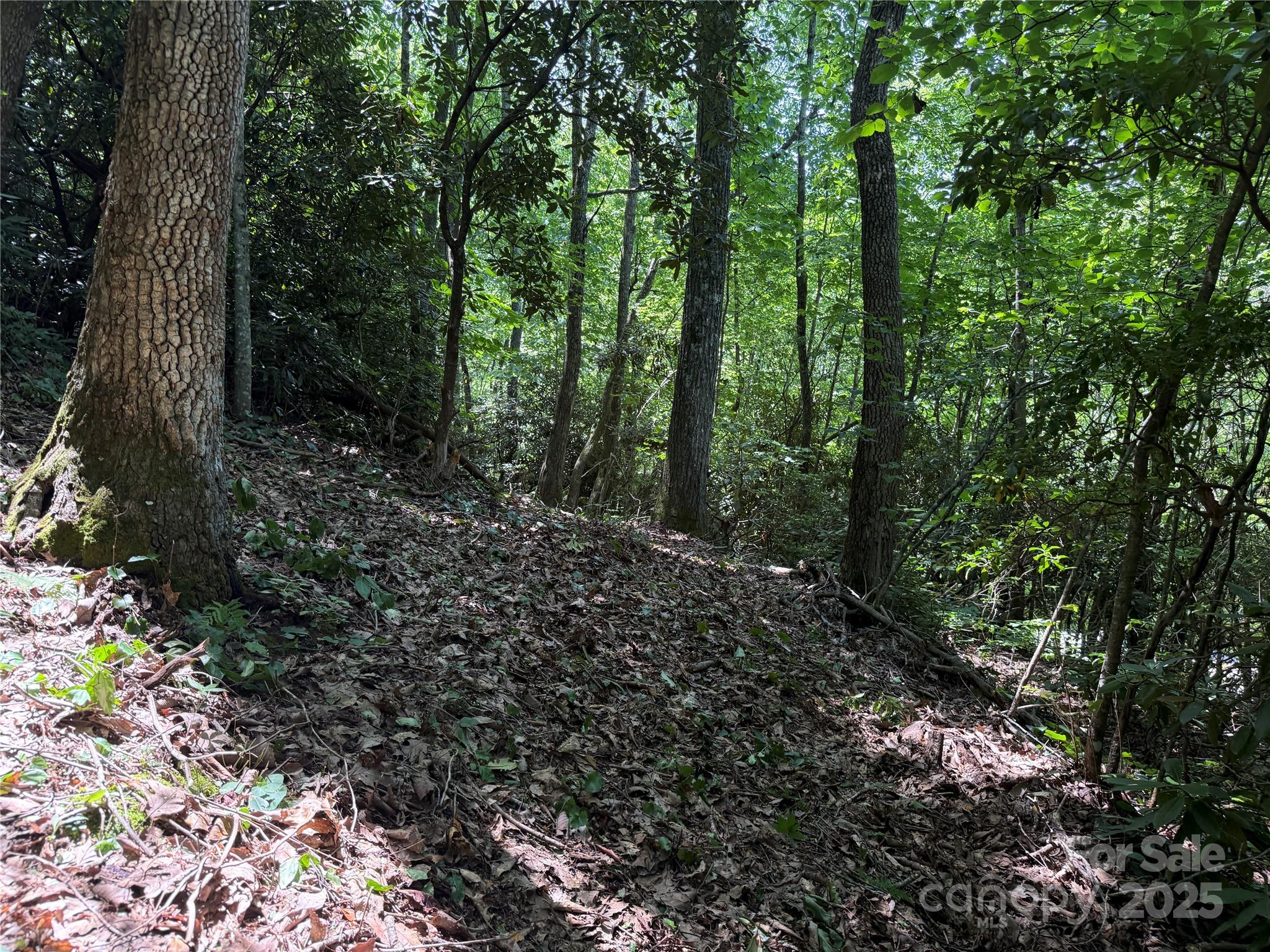 Fairview Pointe - Land