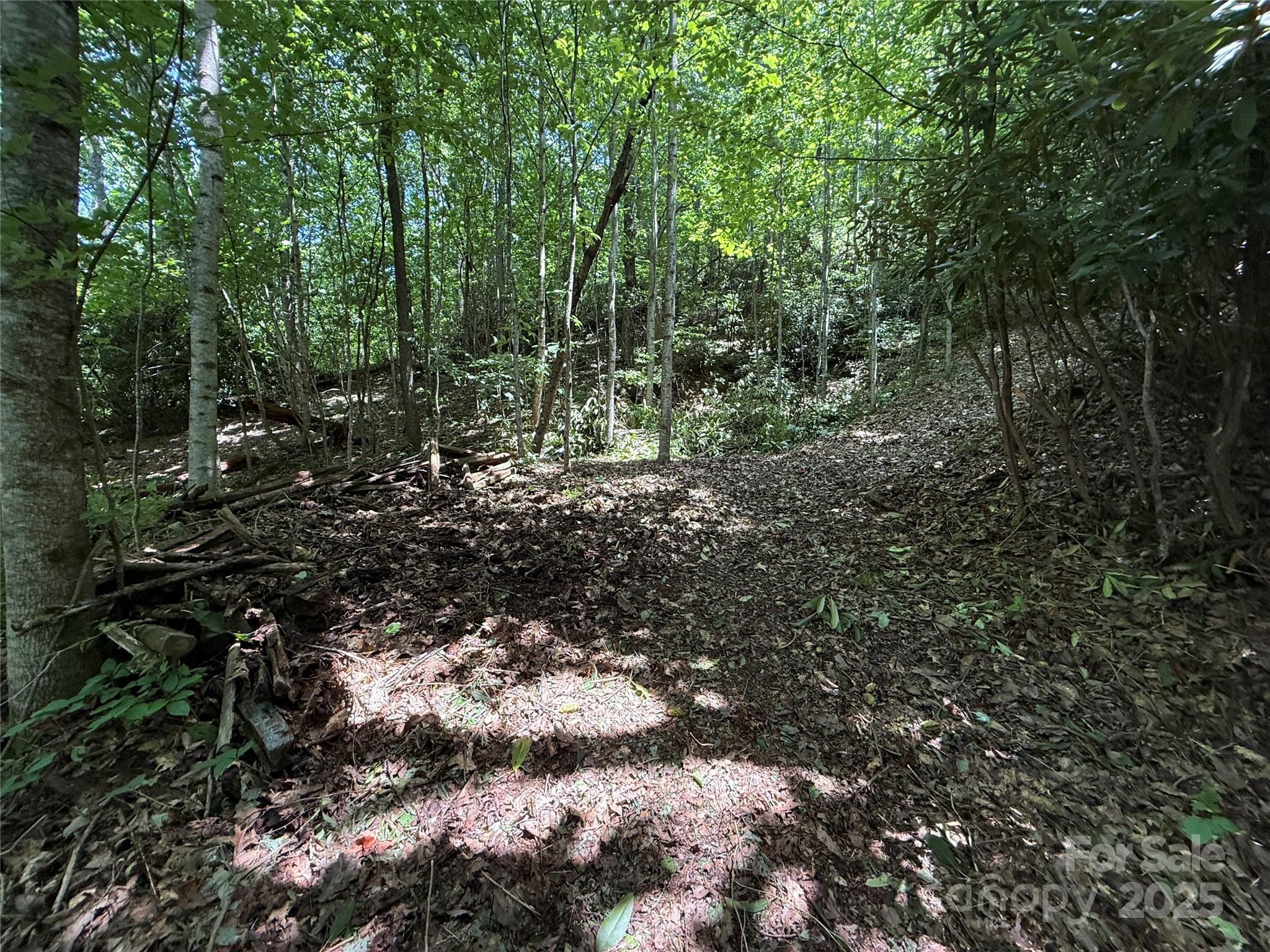 25 Fairview Pointe Drive