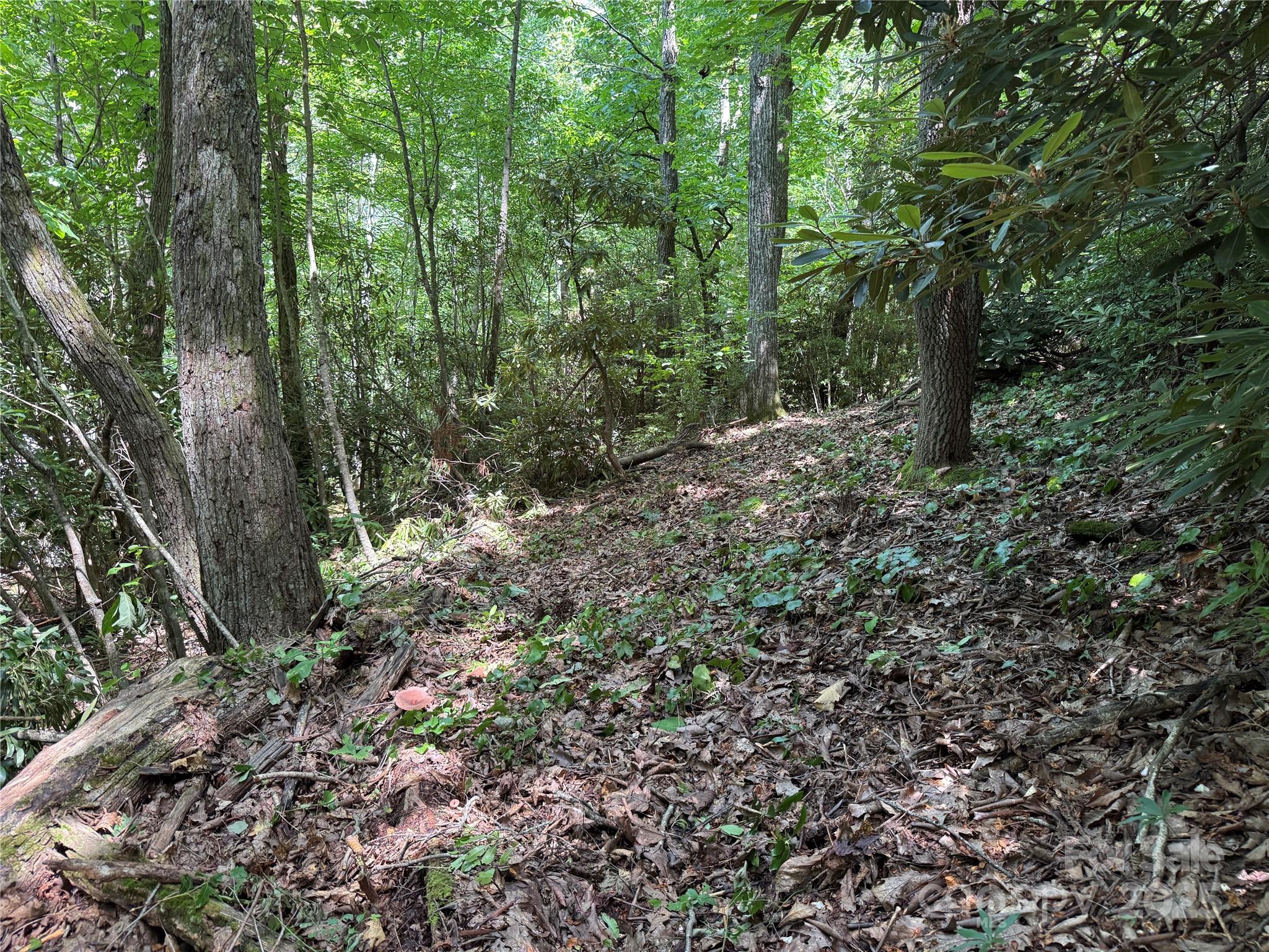 Fairview Pointe - Land