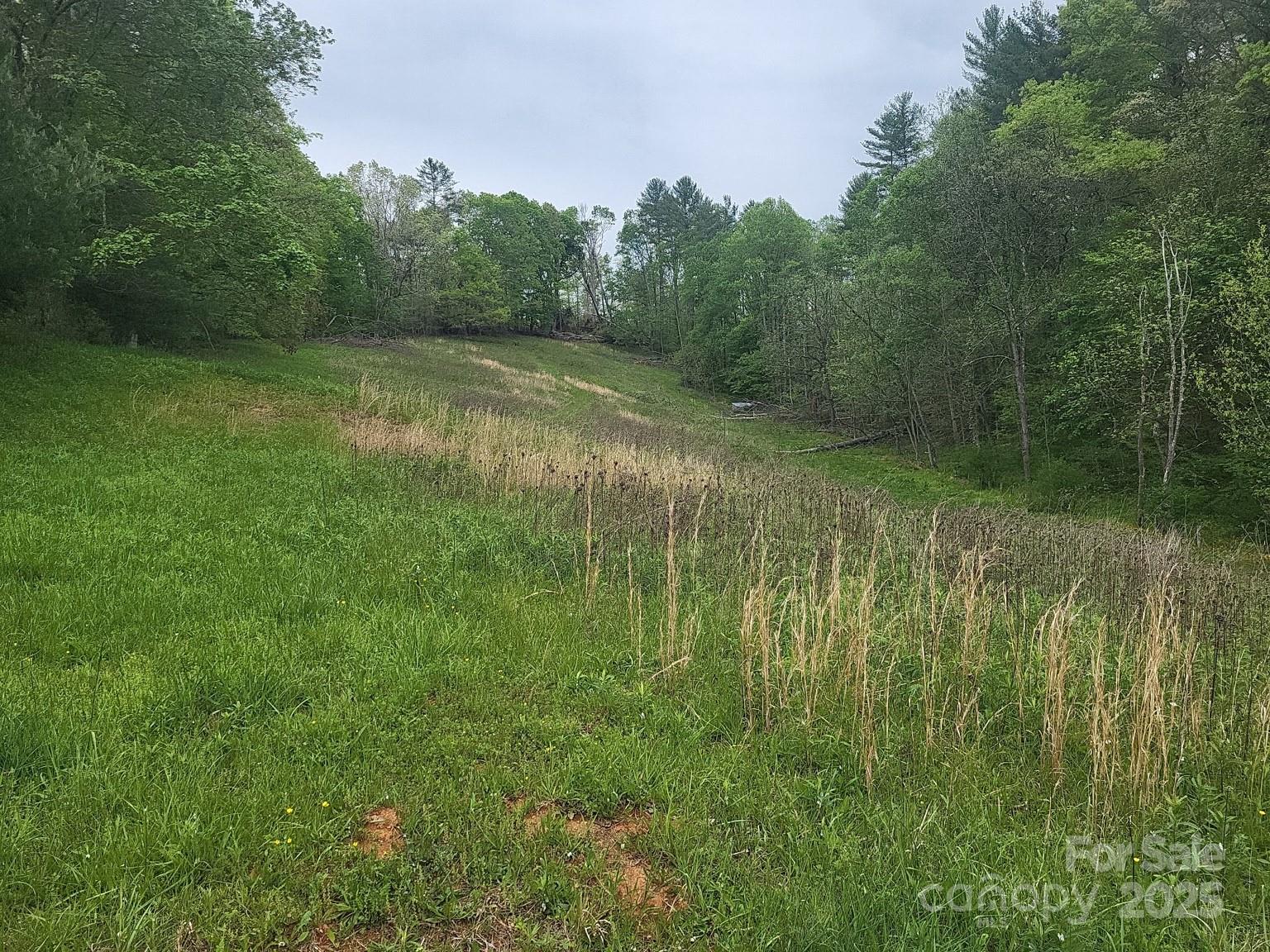 TBD Loggy Hollow Road
