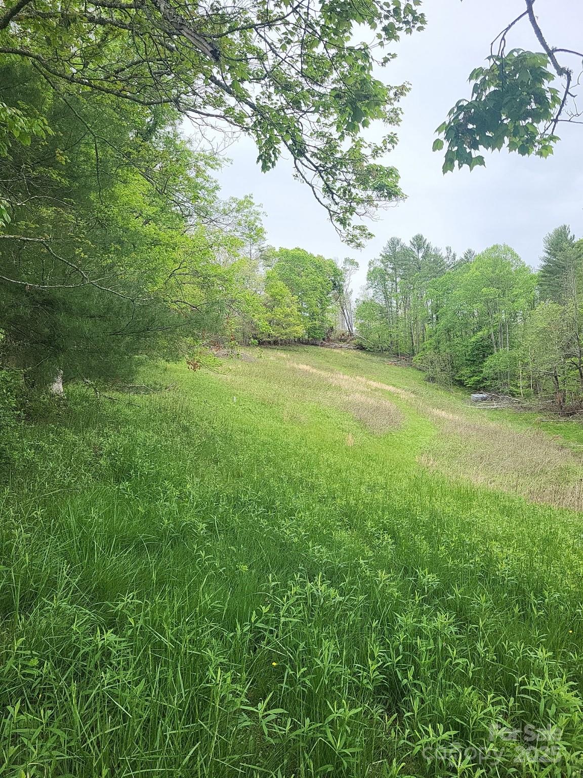 TBD Loggy Hollow Road