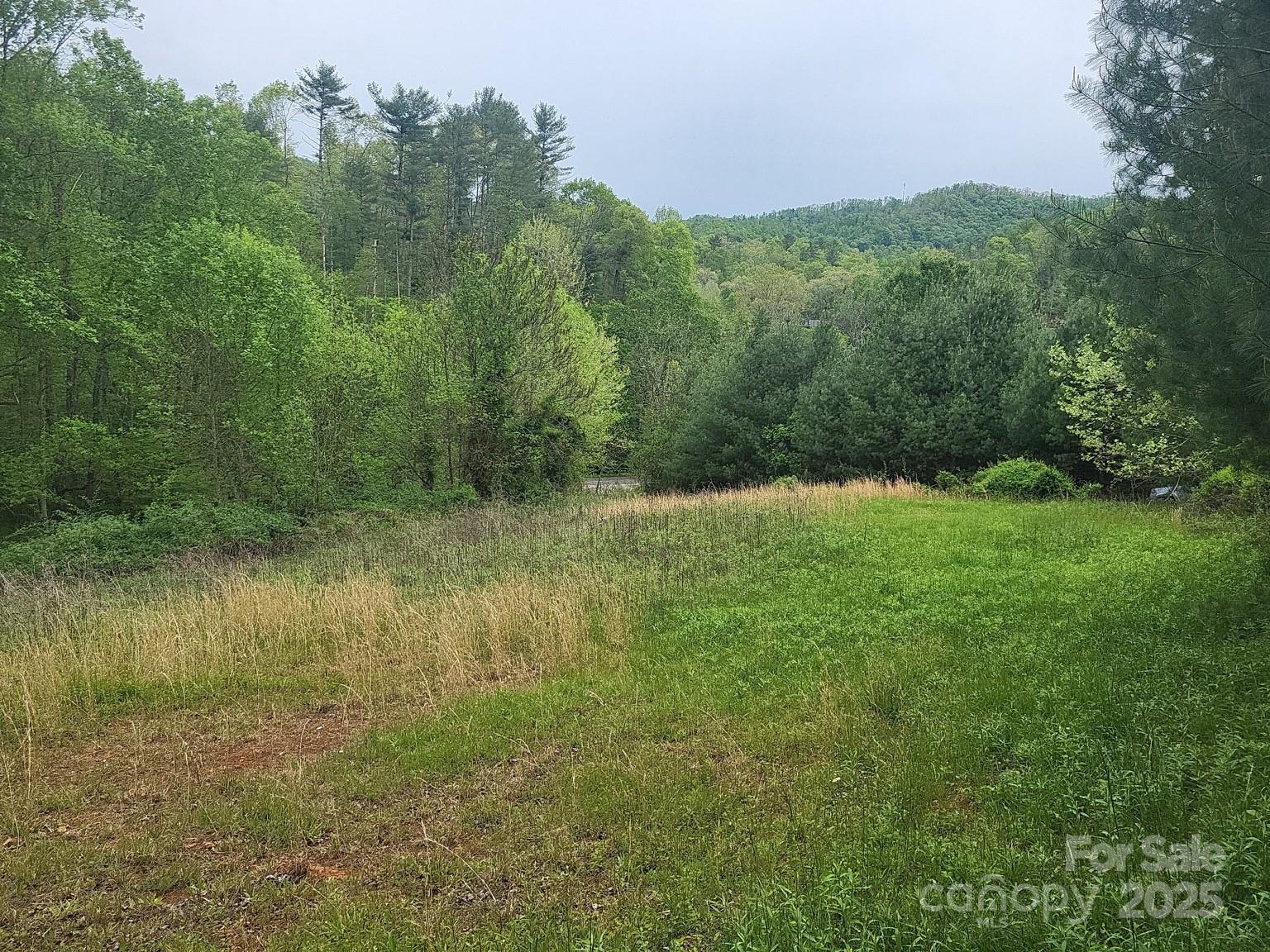 TBD Loggy Hollow Road