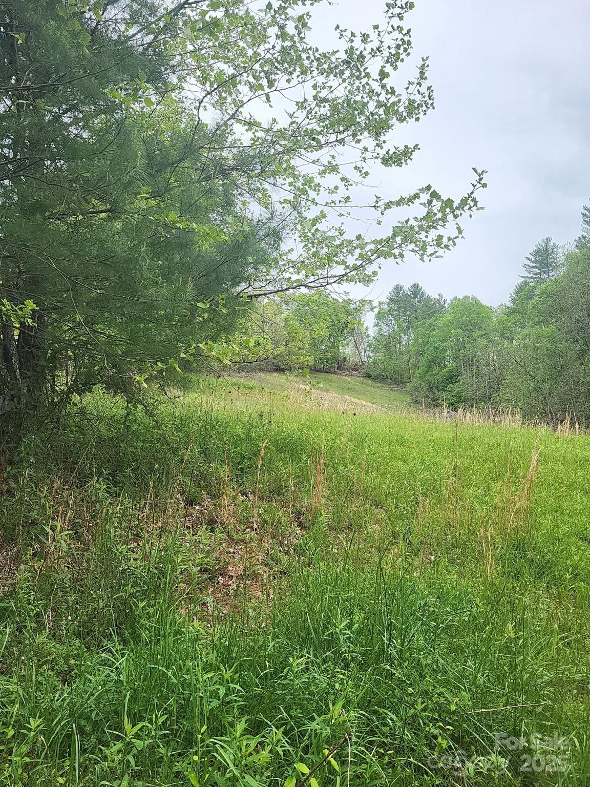 TBD Loggy Hollow Road