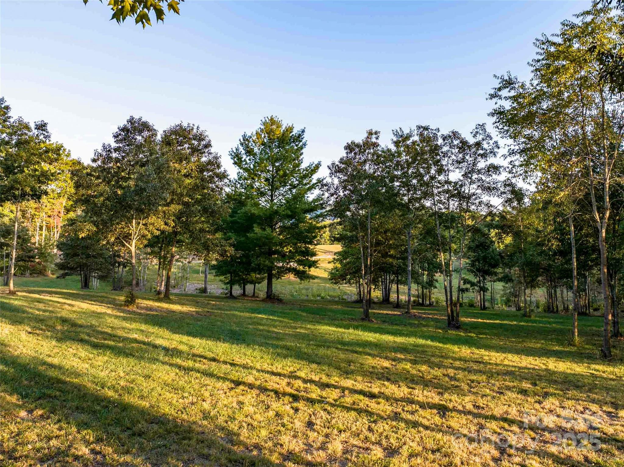 The Farm At Cane Creek - Land