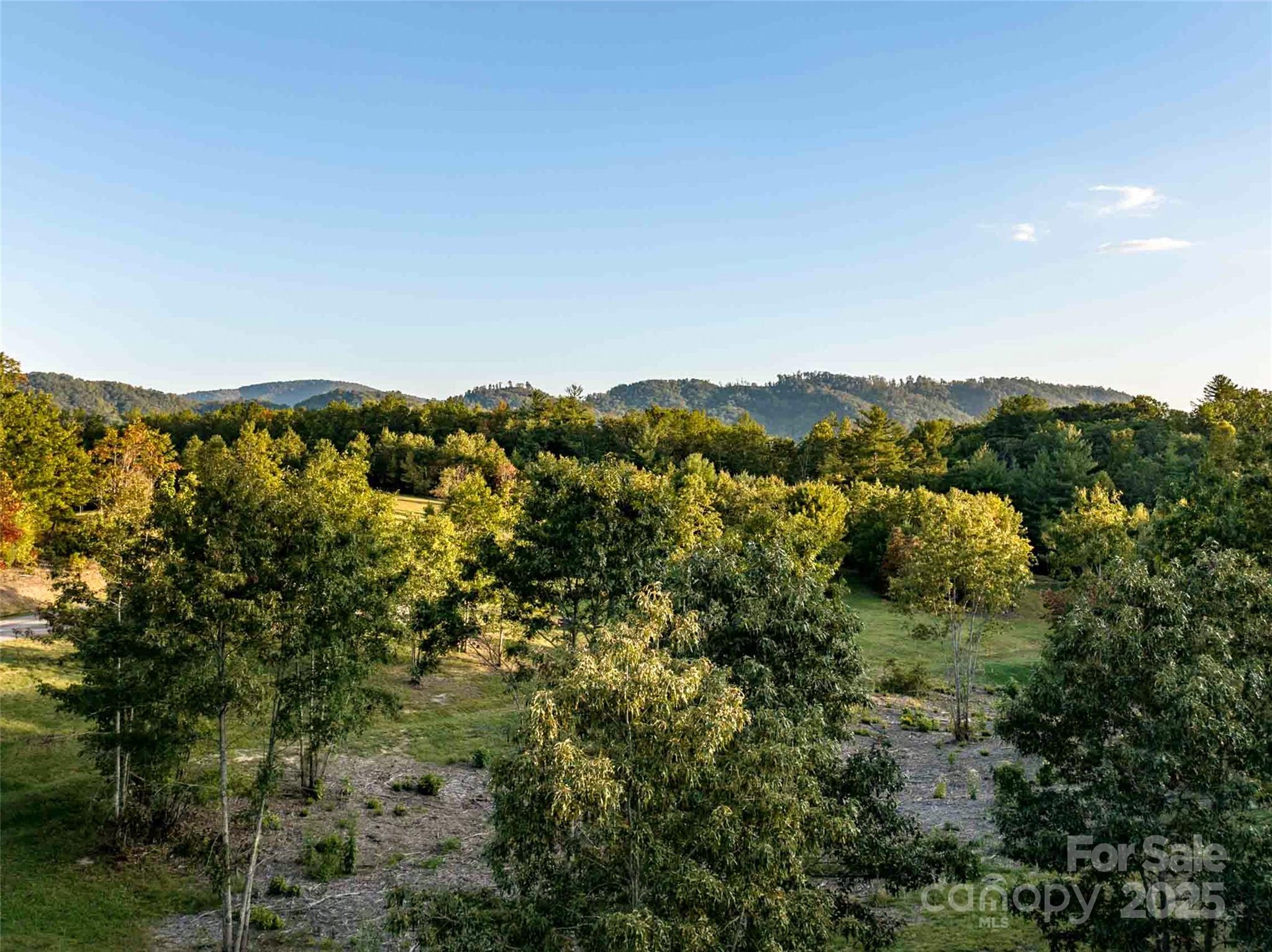 The Farm At Cane Creek - Land