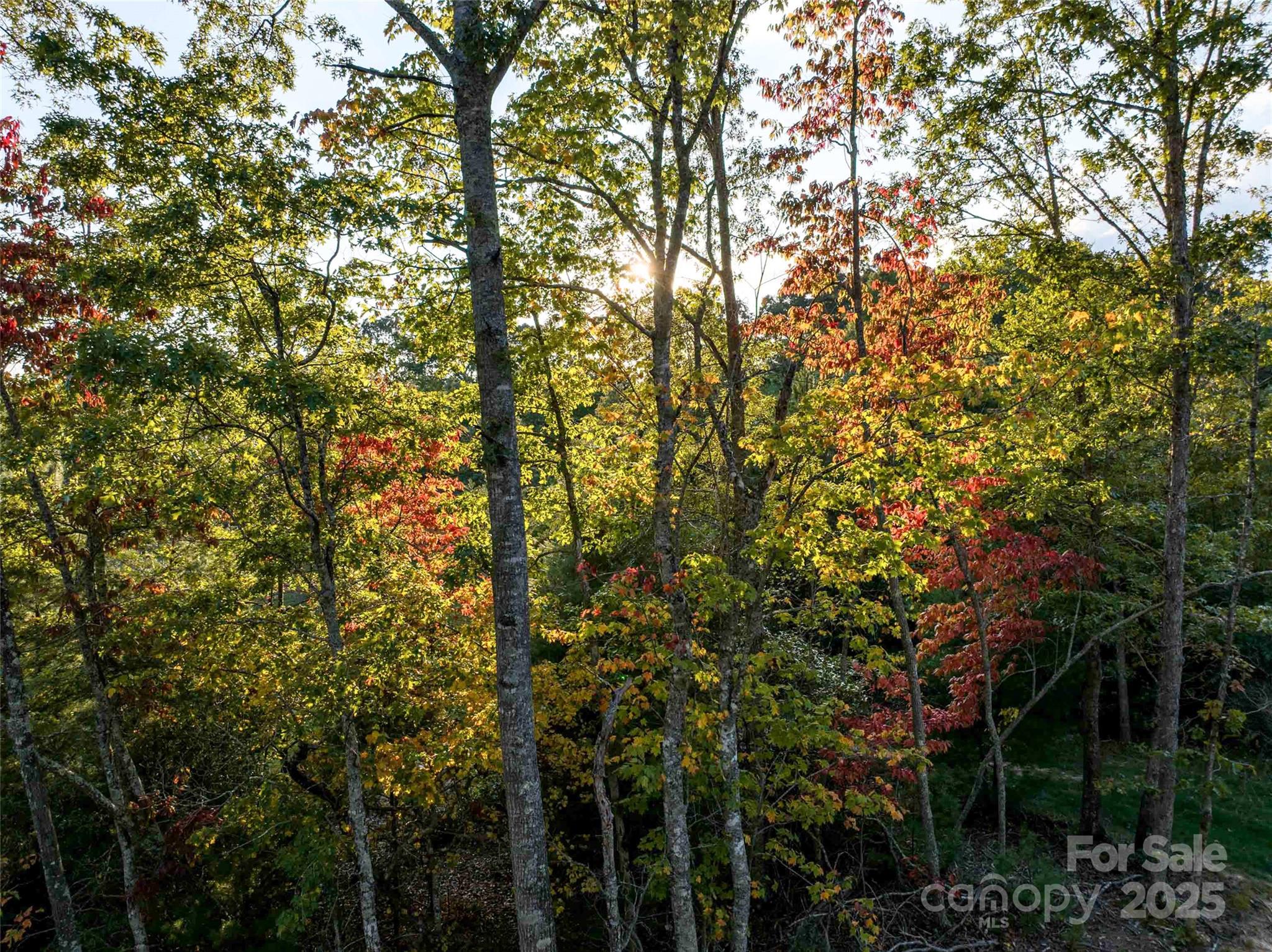 The Farm At Cane Creek - Land