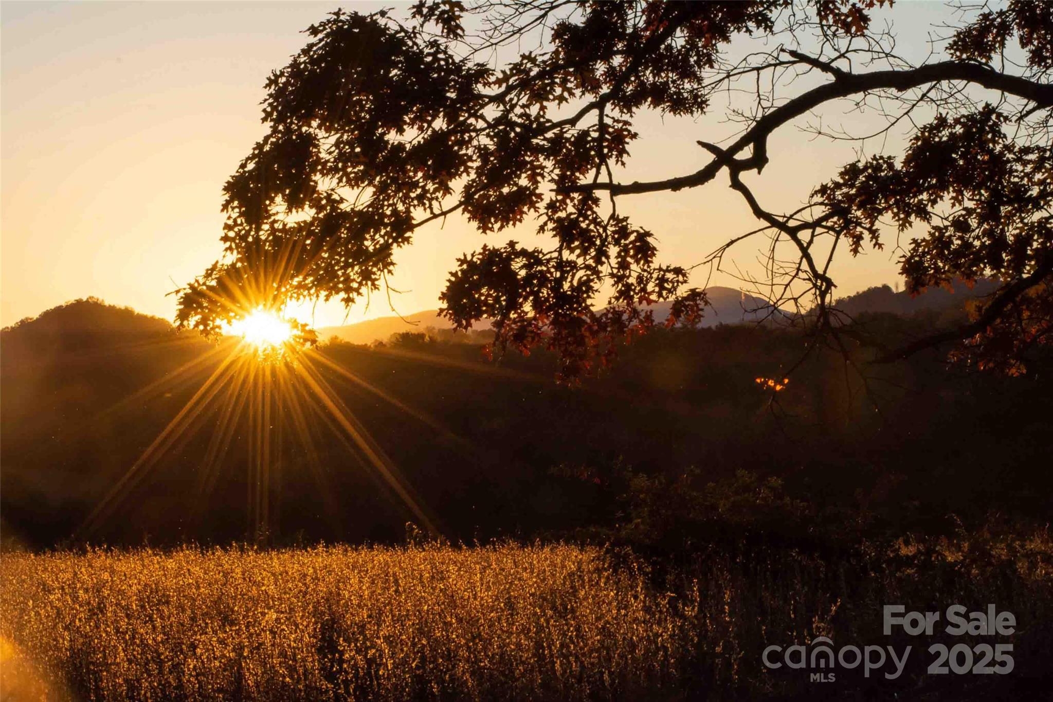 The Farm At Cane Creek - Land
