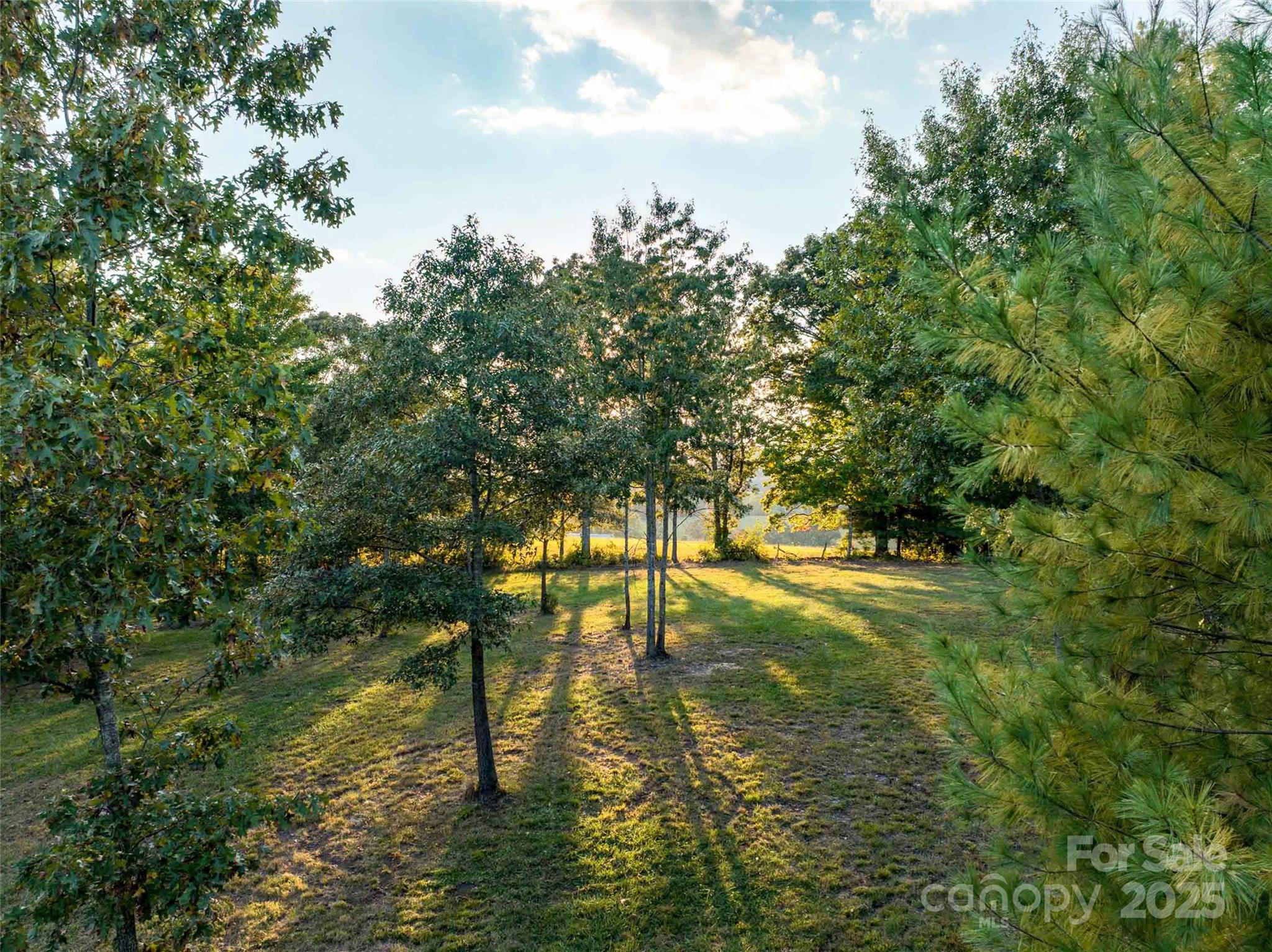 The Farm At Cane Creek - Land