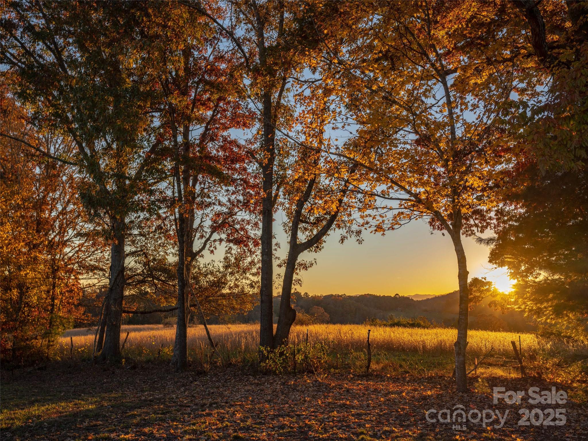 The Farm At Cane Creek - Land