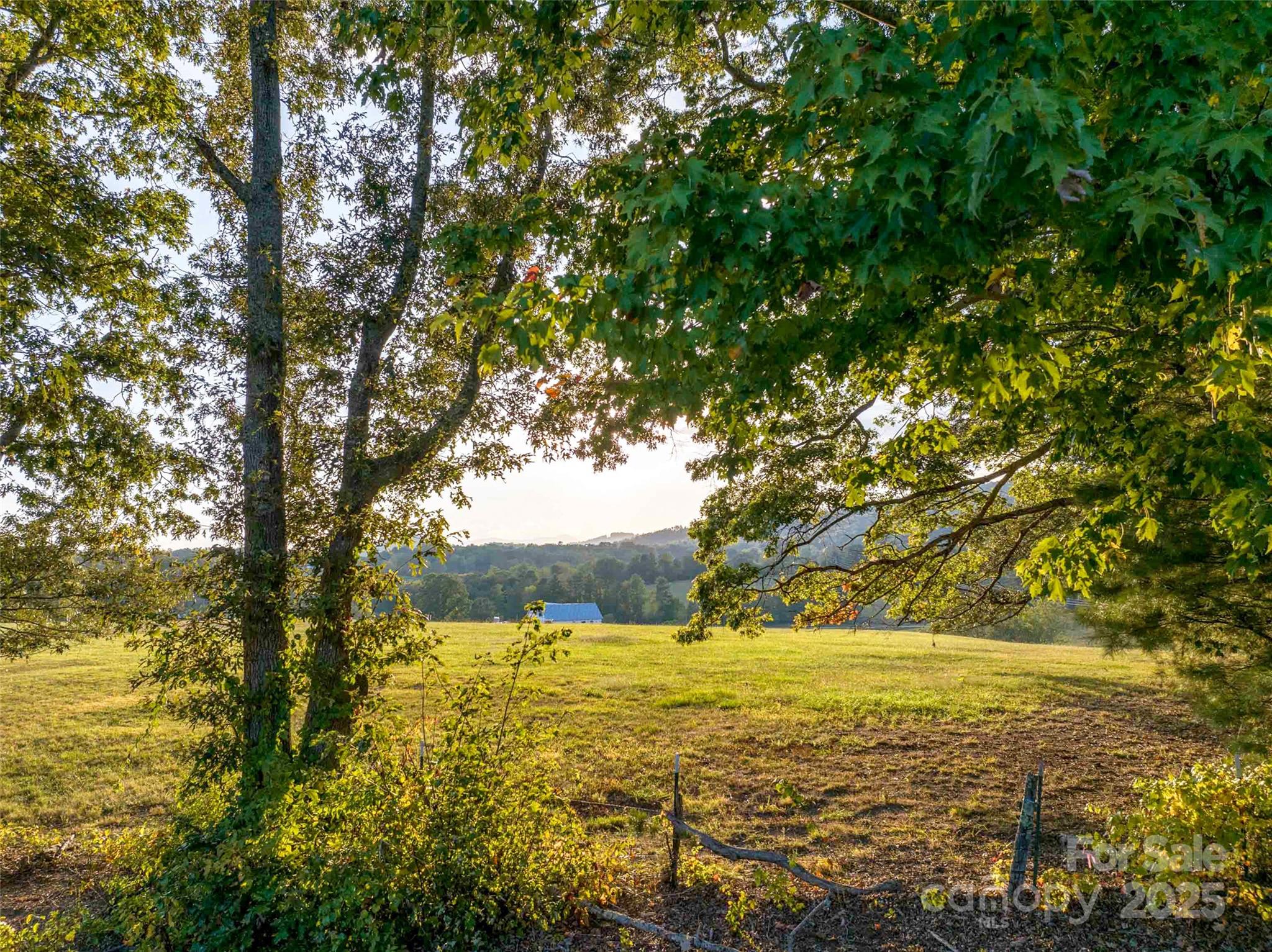 The Farm At Cane Creek - Land