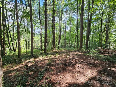 000 Dolan Road 3 Waynesville NC 28786