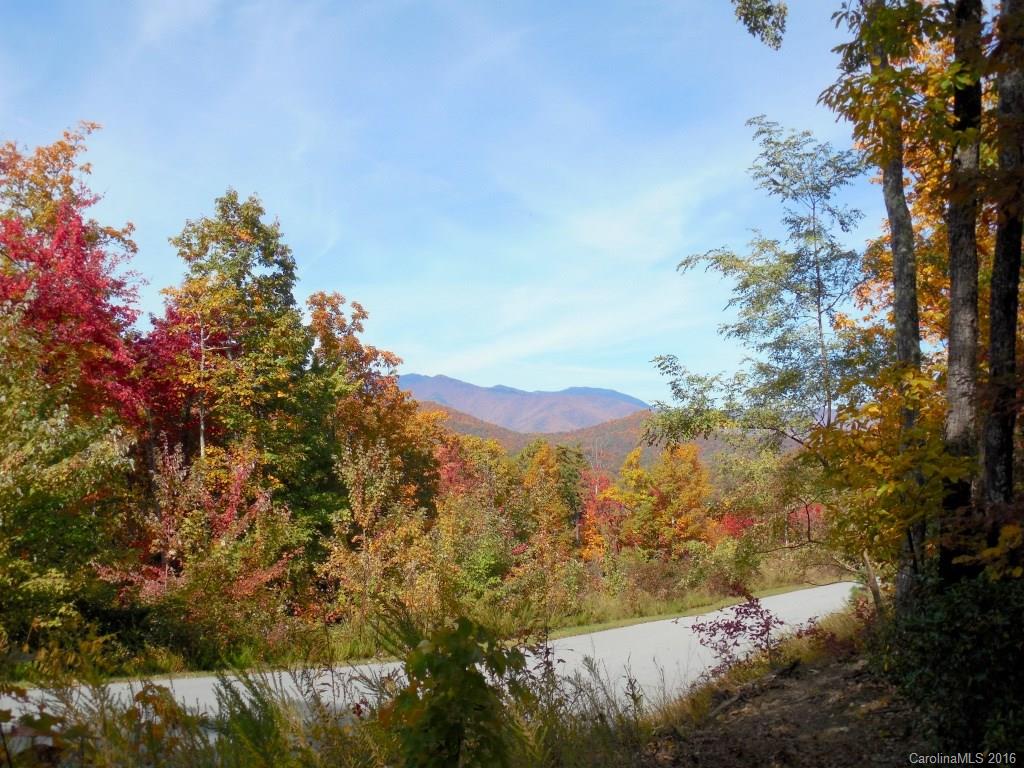 Catawba Falls Preserve - Land