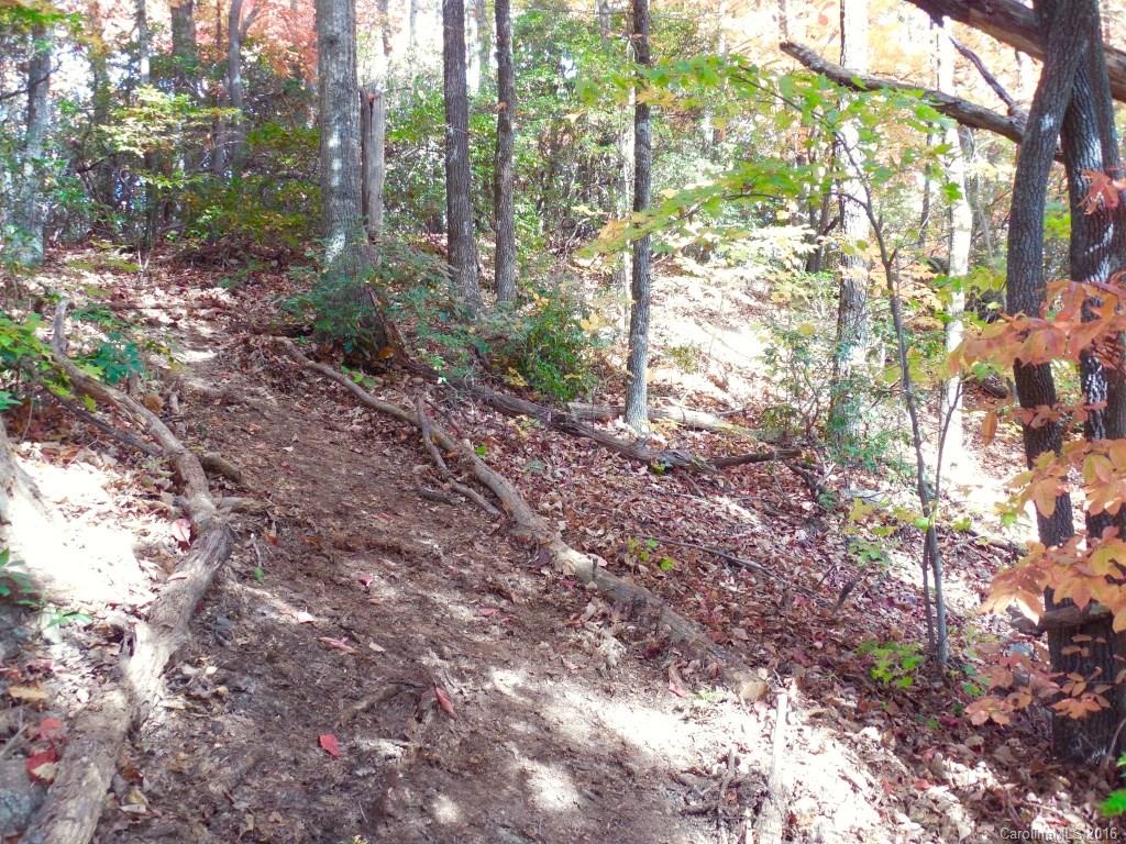 Catawba Falls Preserve - Land
