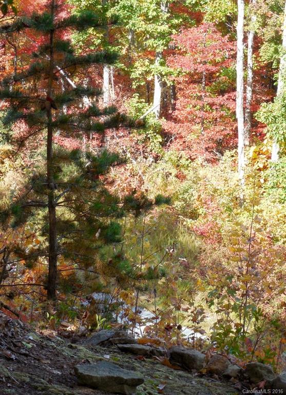 Catawba Falls Preserve - Land
