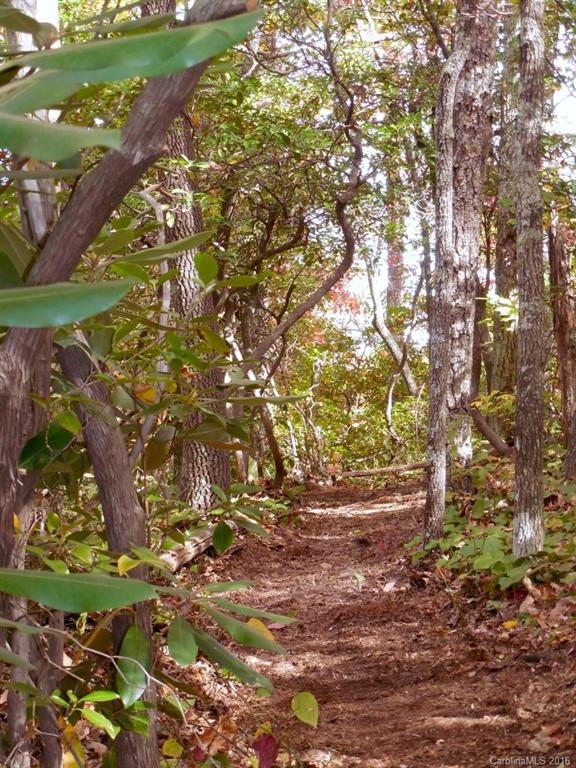 Catawba Falls Preserve - Land