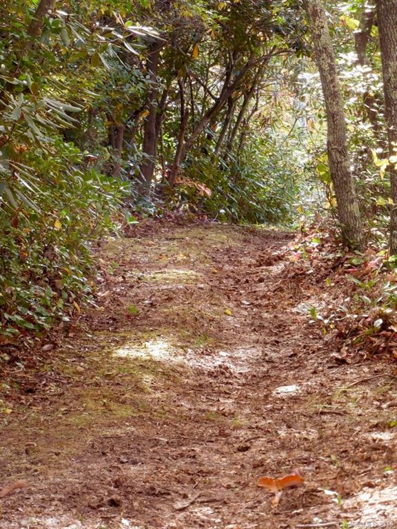 Catawba Falls Preserve - Land