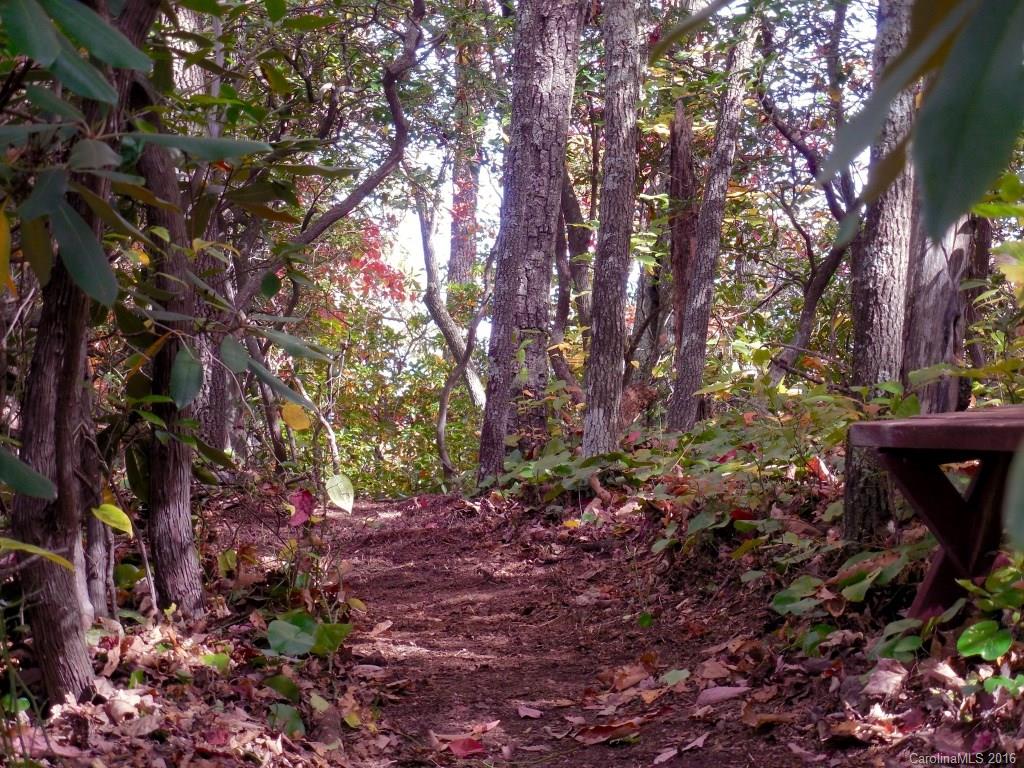 Catawba Falls Preserve - Land