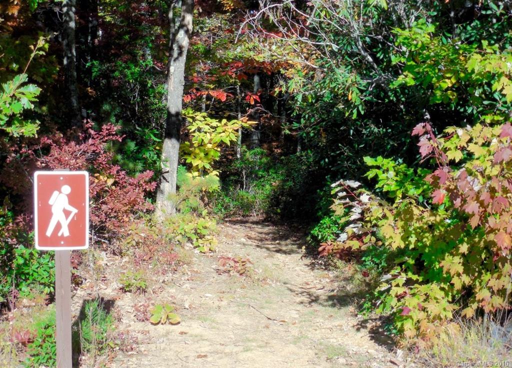 Catawba Falls Preserve - Land