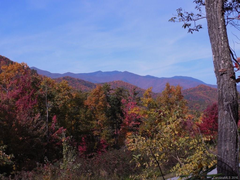 Catawba Falls Preserve - Land