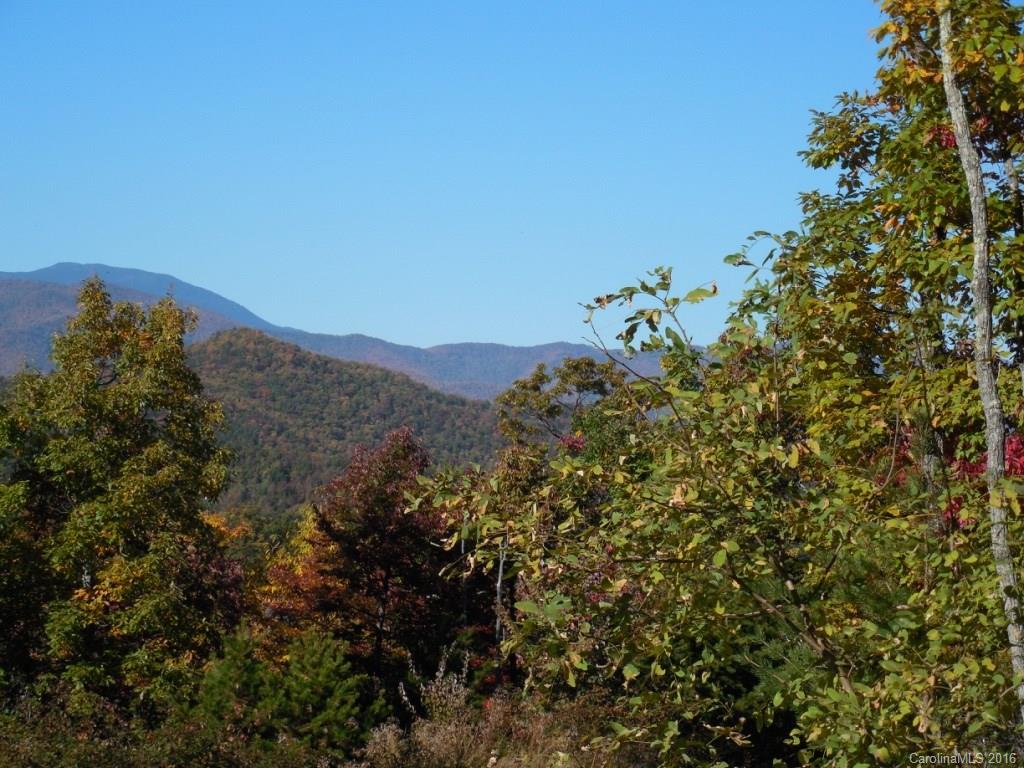 Catawba Falls Preserve - Land